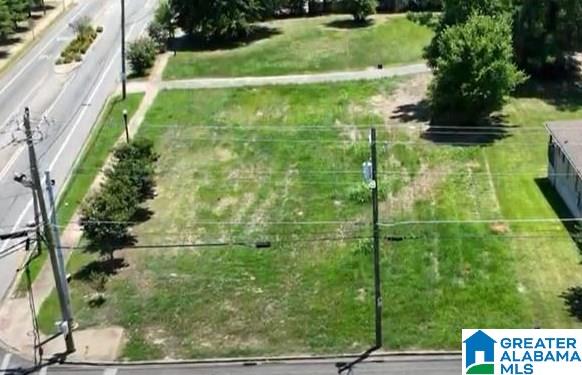 Homes for sale in Birmingham, AL | 1045 Hibernian Street, Birmingham, AL 35214 | MLS# 21390577