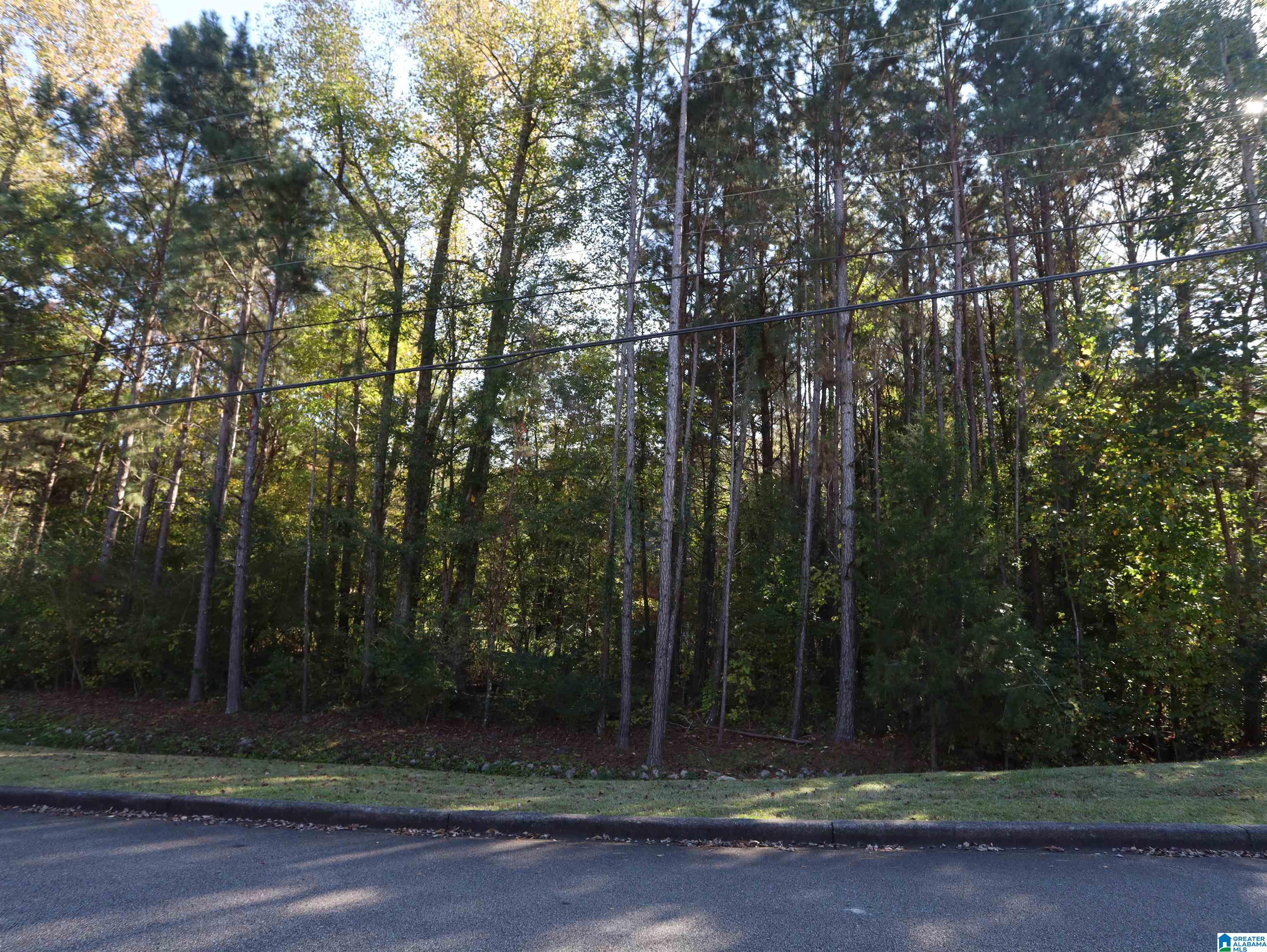 Homes for sale in Pinson, AL | 8040 Emerald Lake Dr, Pinson, AL 35126 | MLS# 21391040