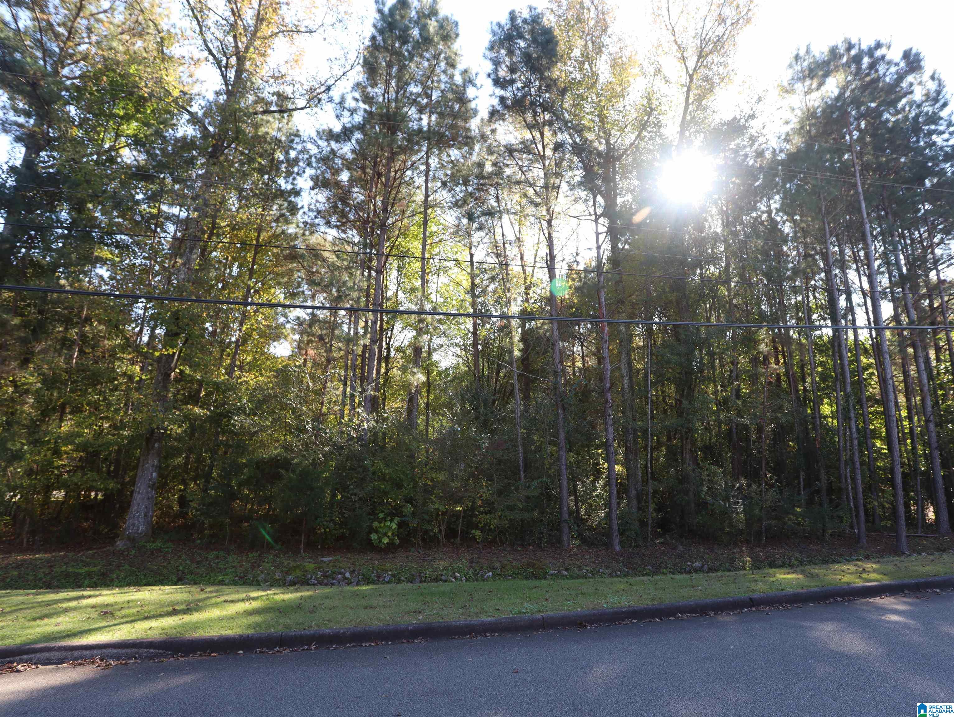 8040 Emerald Lake Drive #4, PINSON, Alabama image 6