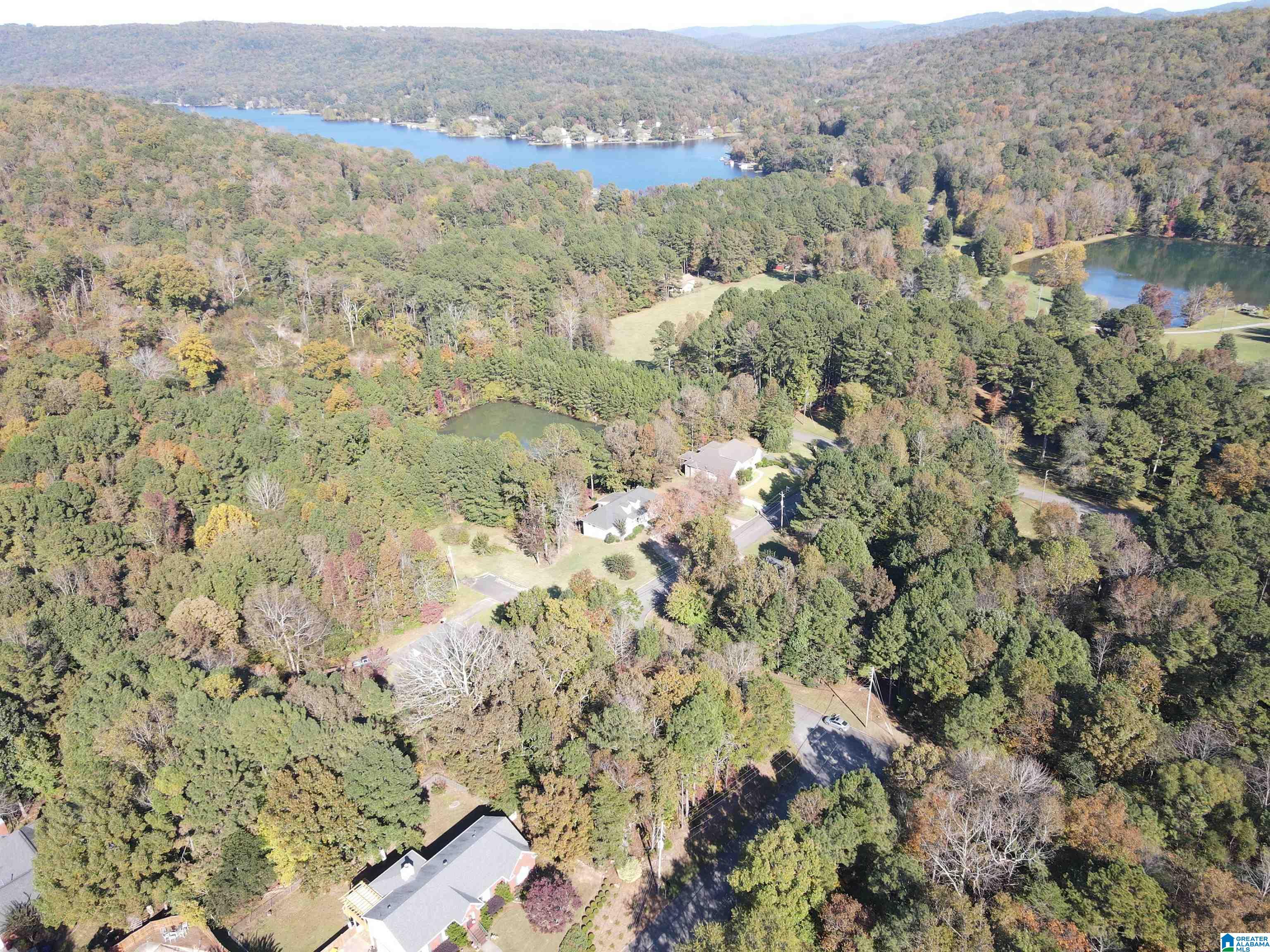 Homes for sale in Pinson, AL | 6232 Emerald Forest Dr, Pinson, AL 35126 | MLS# 21391041