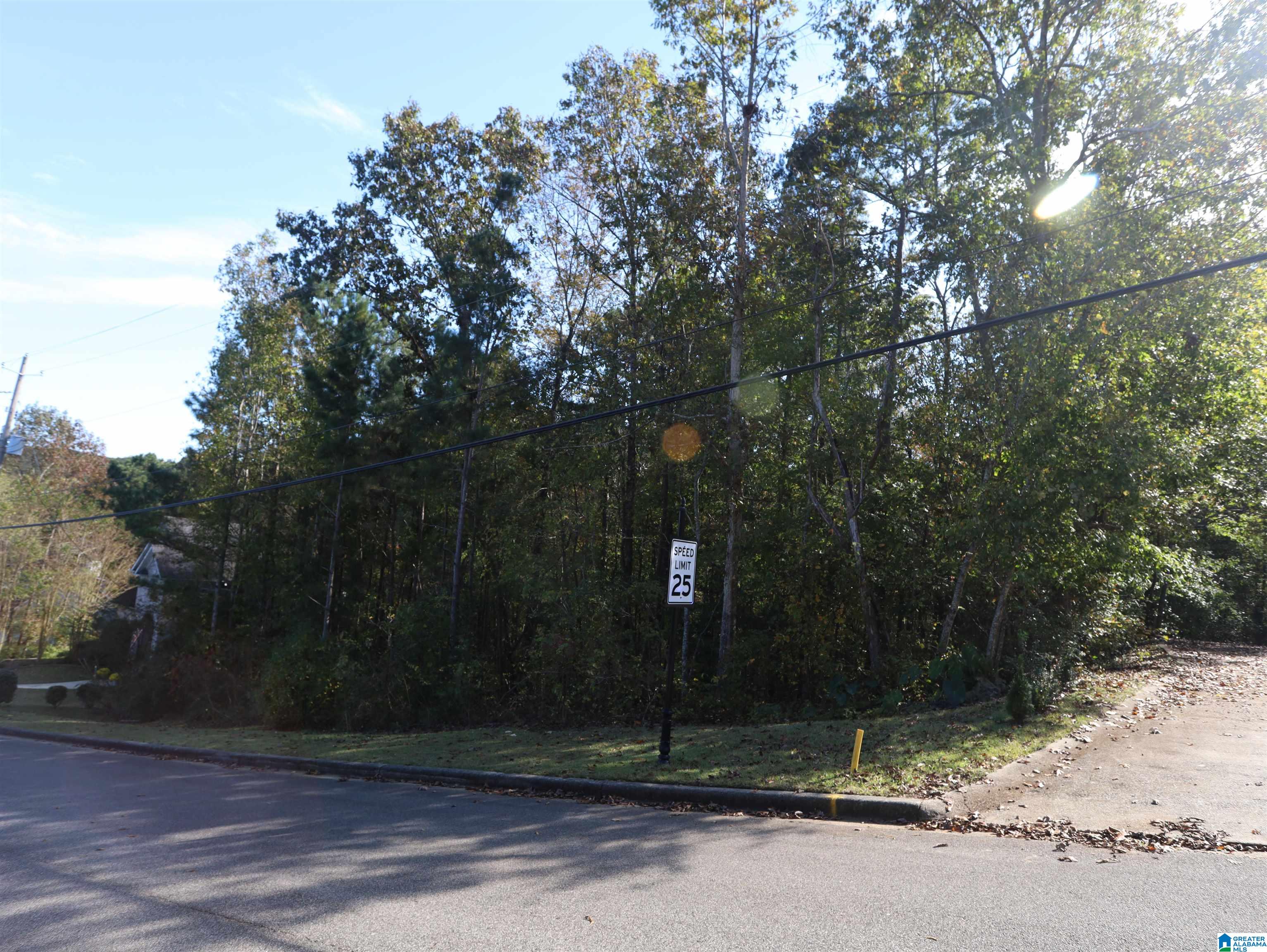 Homes for sale in Pinson, AL | 6217 Emerald Forest Dr, Pinson, AL 35126 | MLS# 21391043