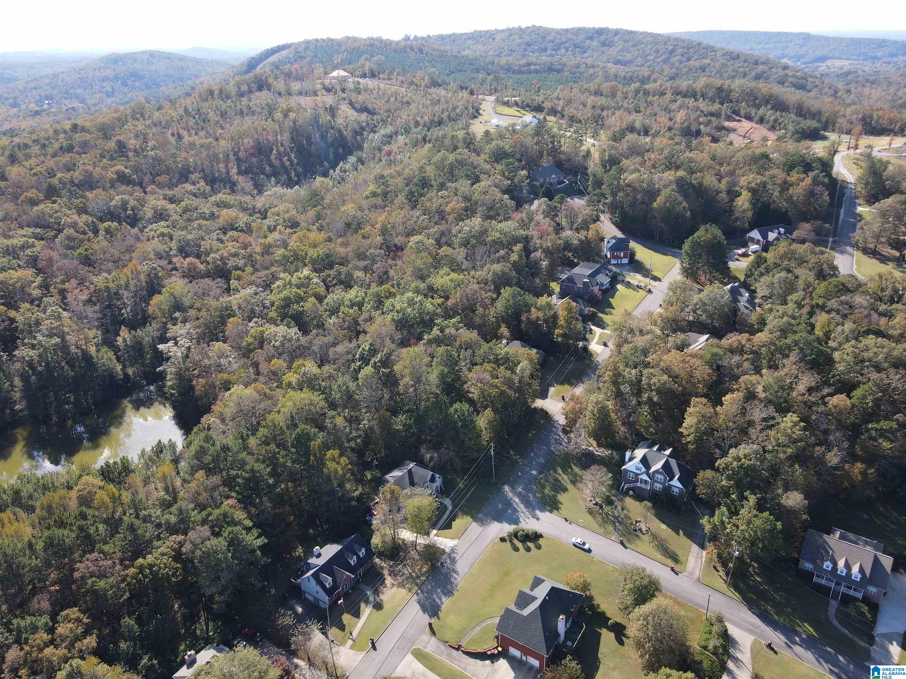 Homes for sale in Pinson, AL | 6217 Emerald Forest Dr, Pinson, AL 35126 | MLS# 21391043