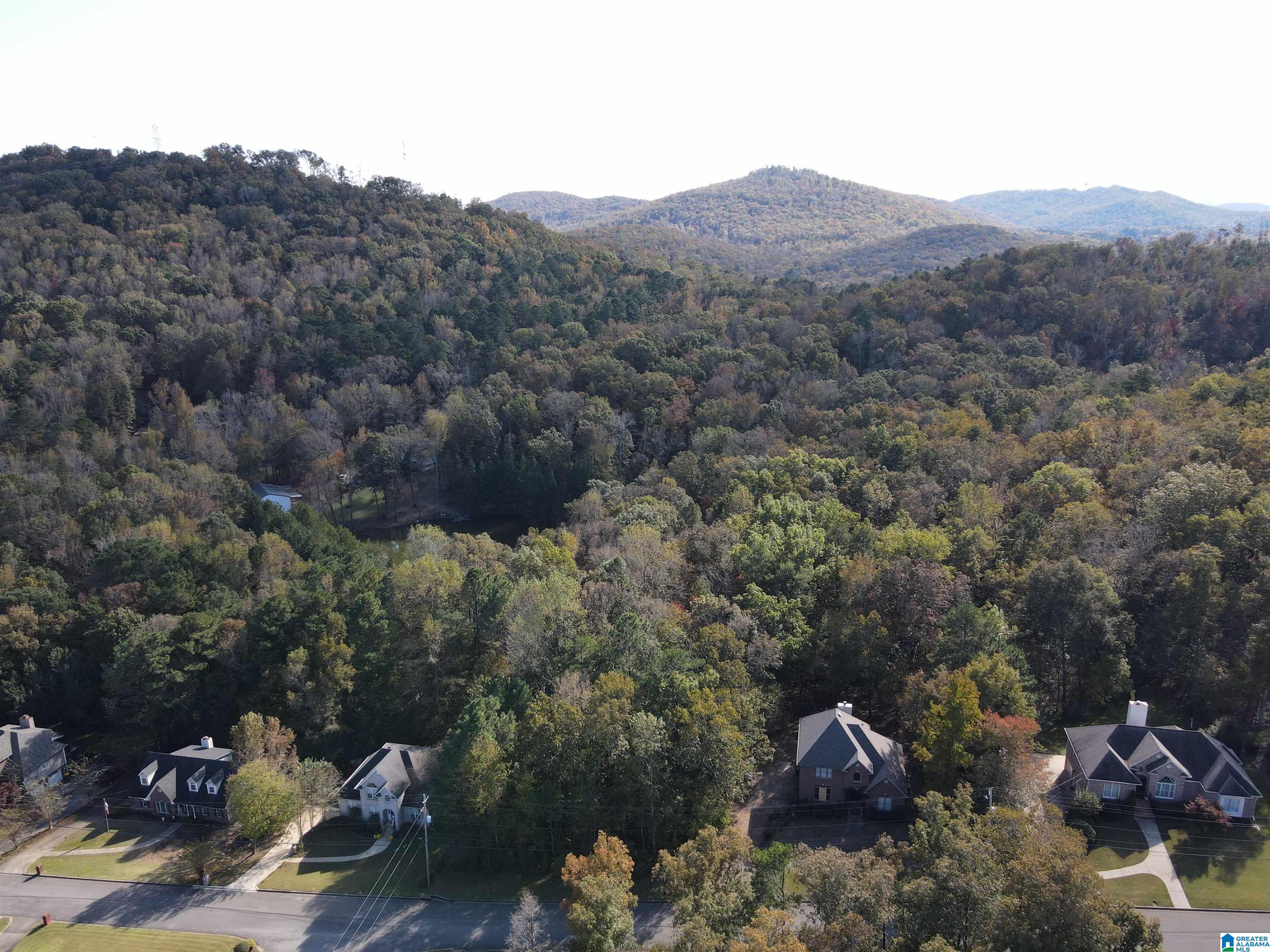 Homes for sale in Pinson, AL | 6217 Emerald Forest Dr, Pinson, AL 35126 | MLS# 21391043