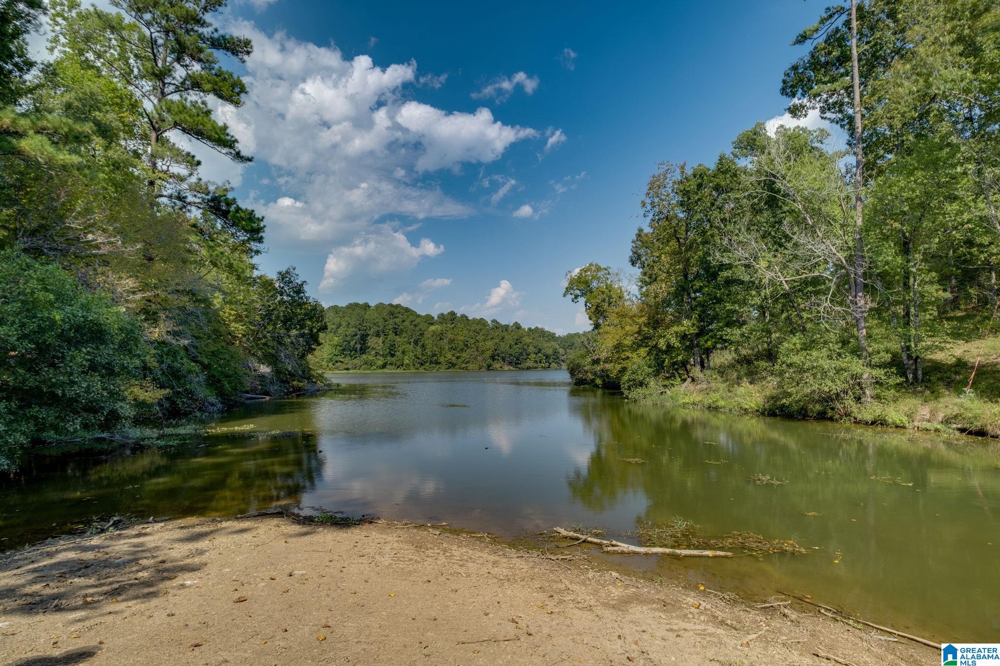 LOT 4 County Road 730 #4, CLANTON, Alabama image 6