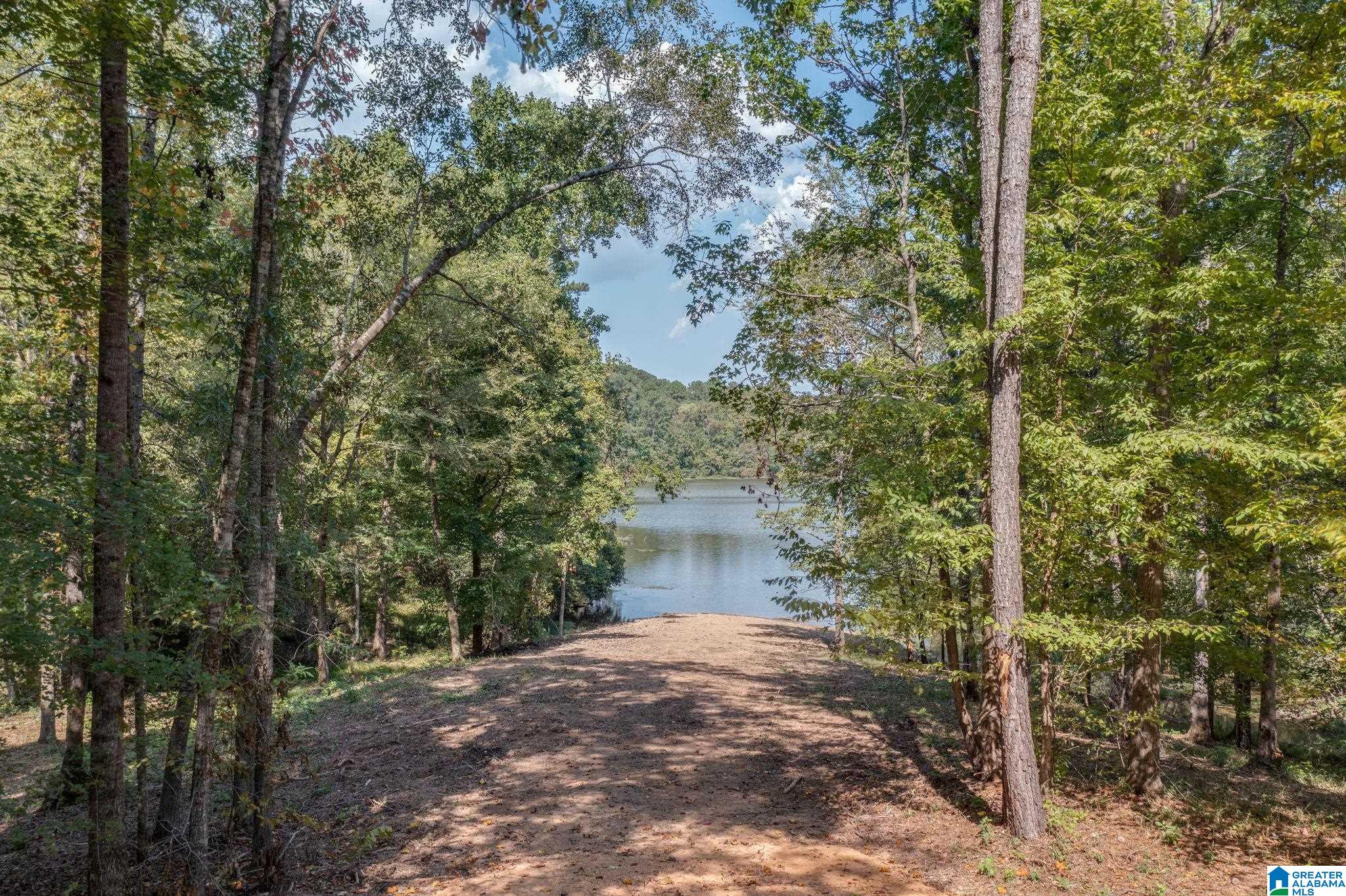 LOT 4 County Road 730 #4, CLANTON, Alabama image 10