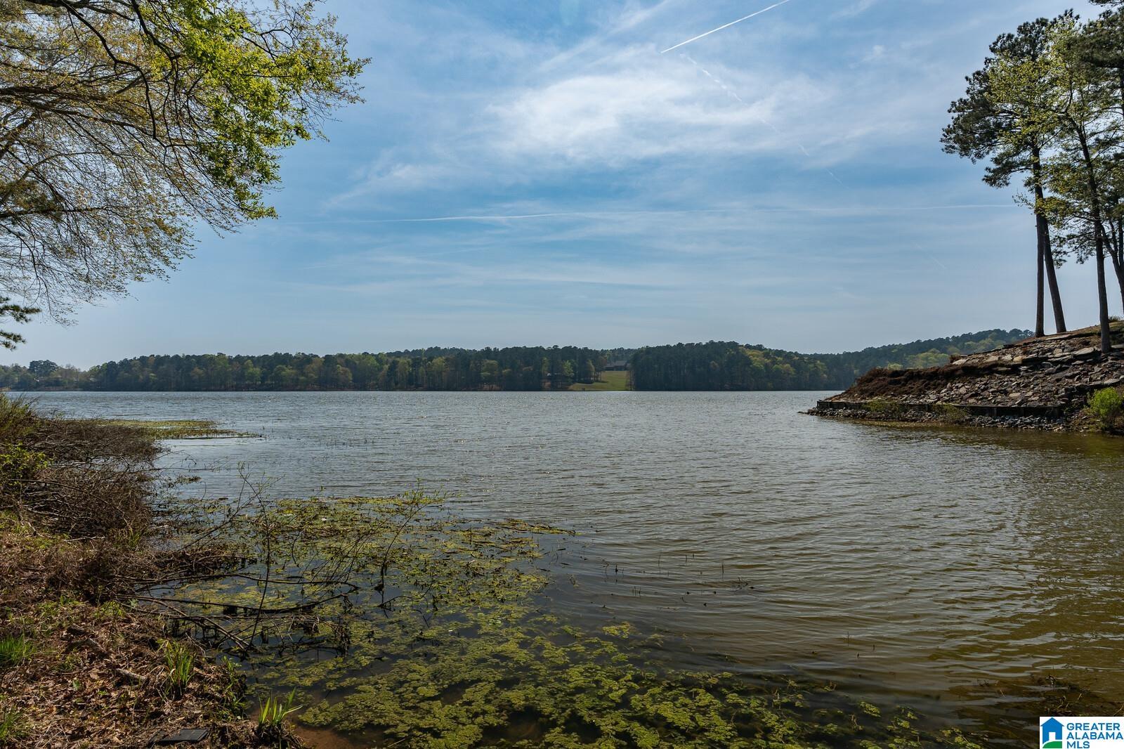 Stillwaters Trail #179, SYLACAUGA, Alabama image 8