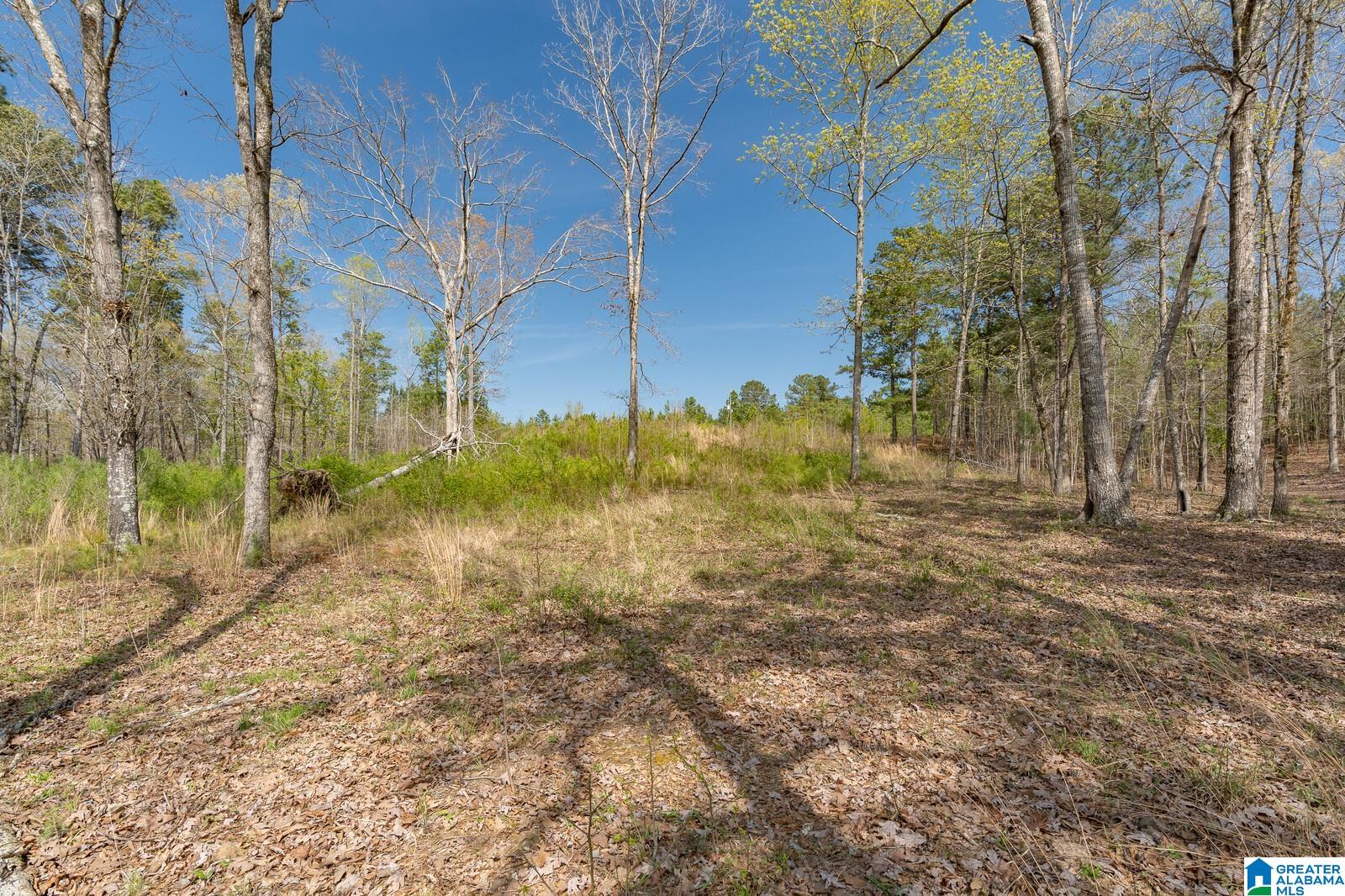 Stillwaters Trail #179, SYLACAUGA, Alabama image 9