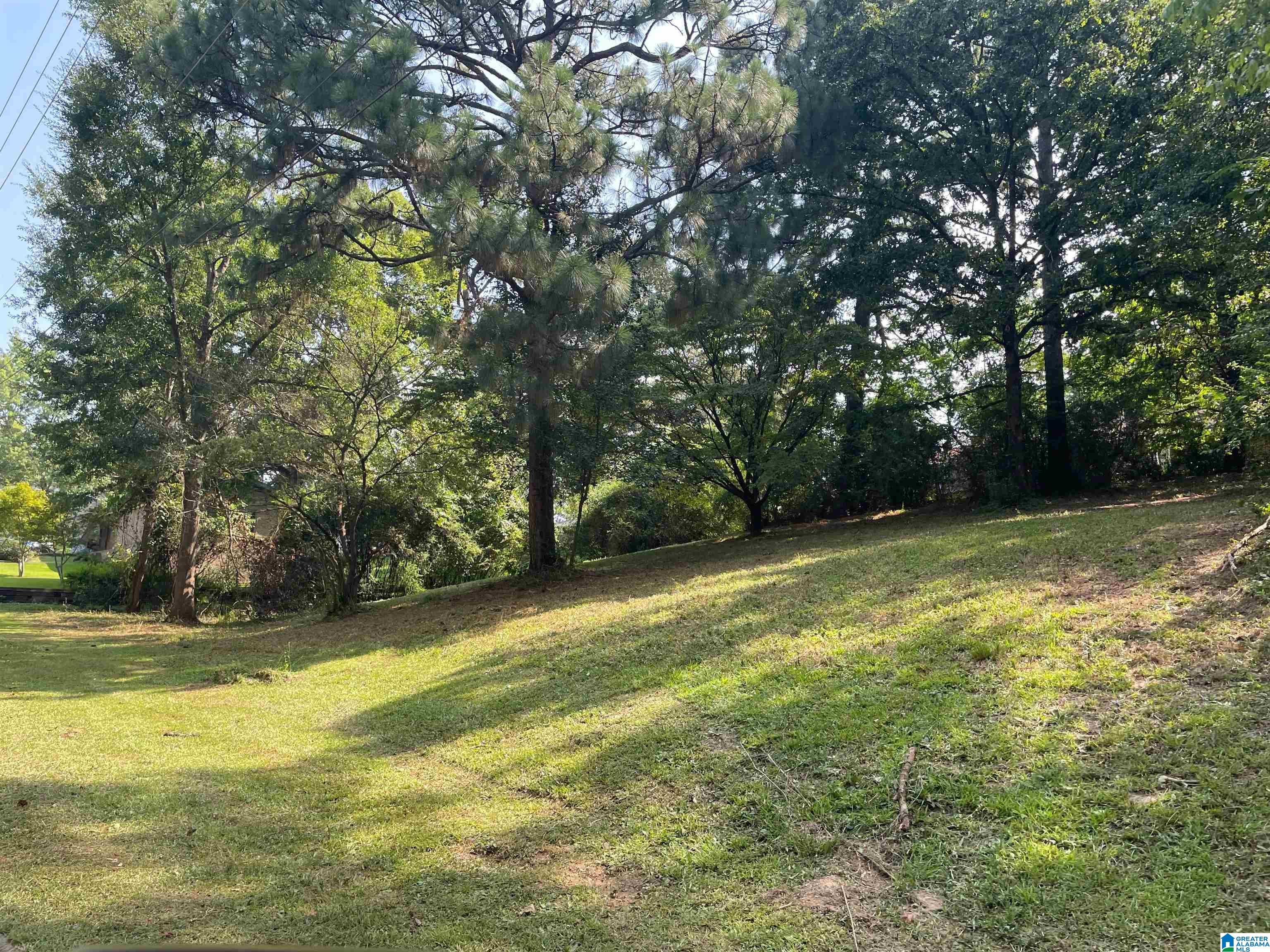 Homes for sale in Leeds, AL | 1217 Elizabeth Street, Leeds, AL 35094 | MLS# 21392017