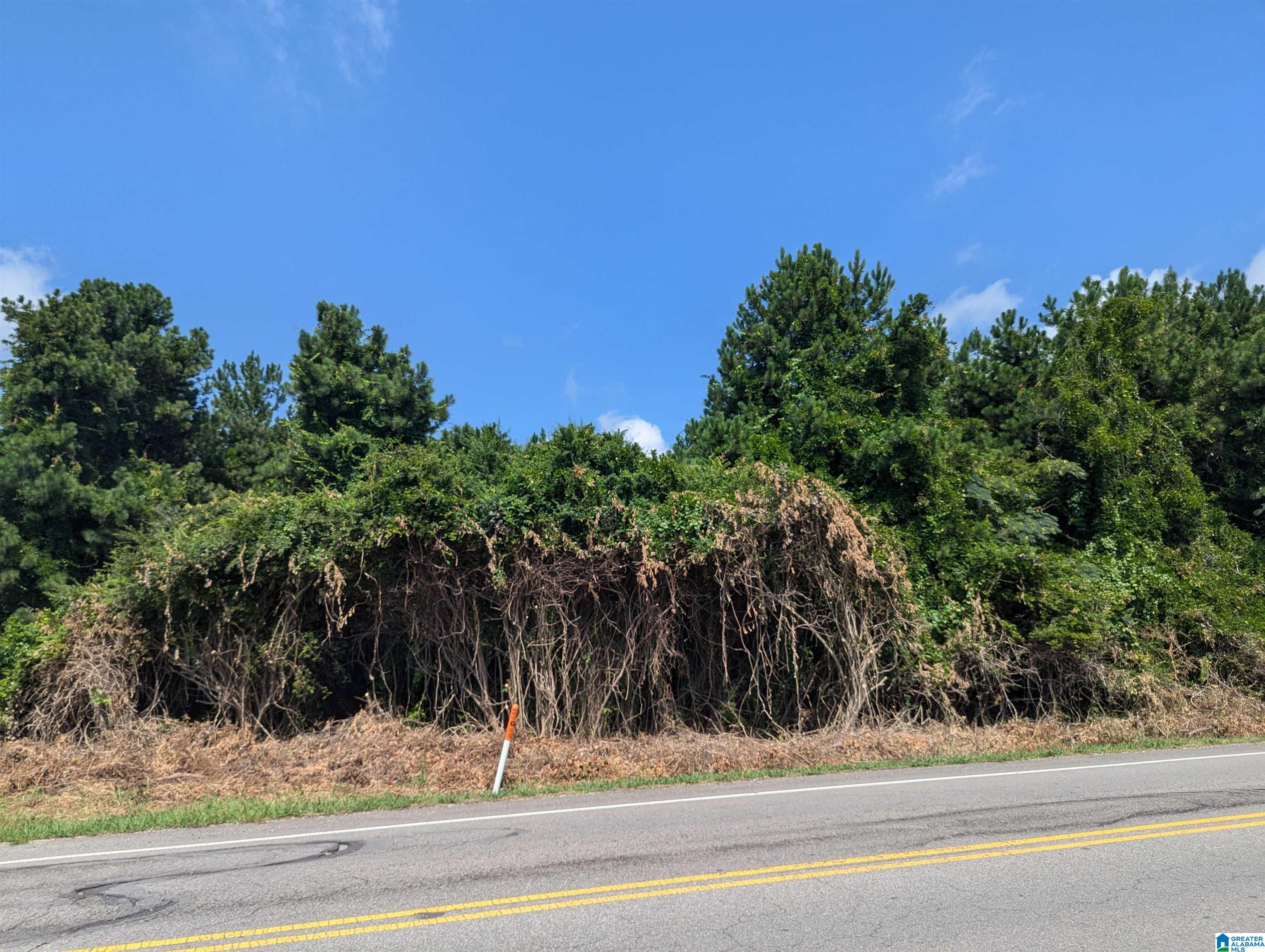 Hillyer Robinson Parkway #3, ANNISTON, Alabama image 14