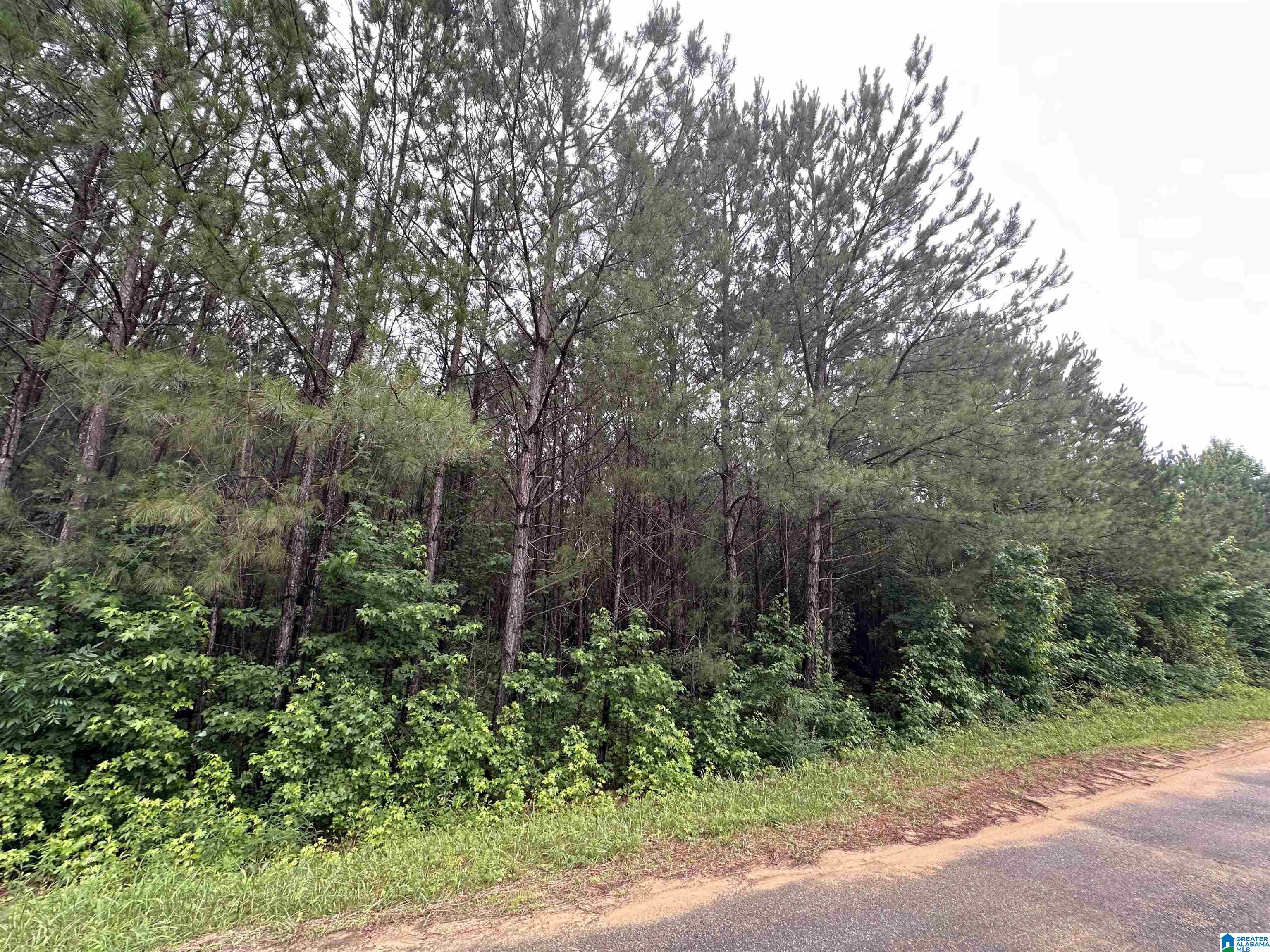 Homes for sale in Odenville, AL | 270 Virginia Way, Odenville, AL 35004 | MLS# 21393165