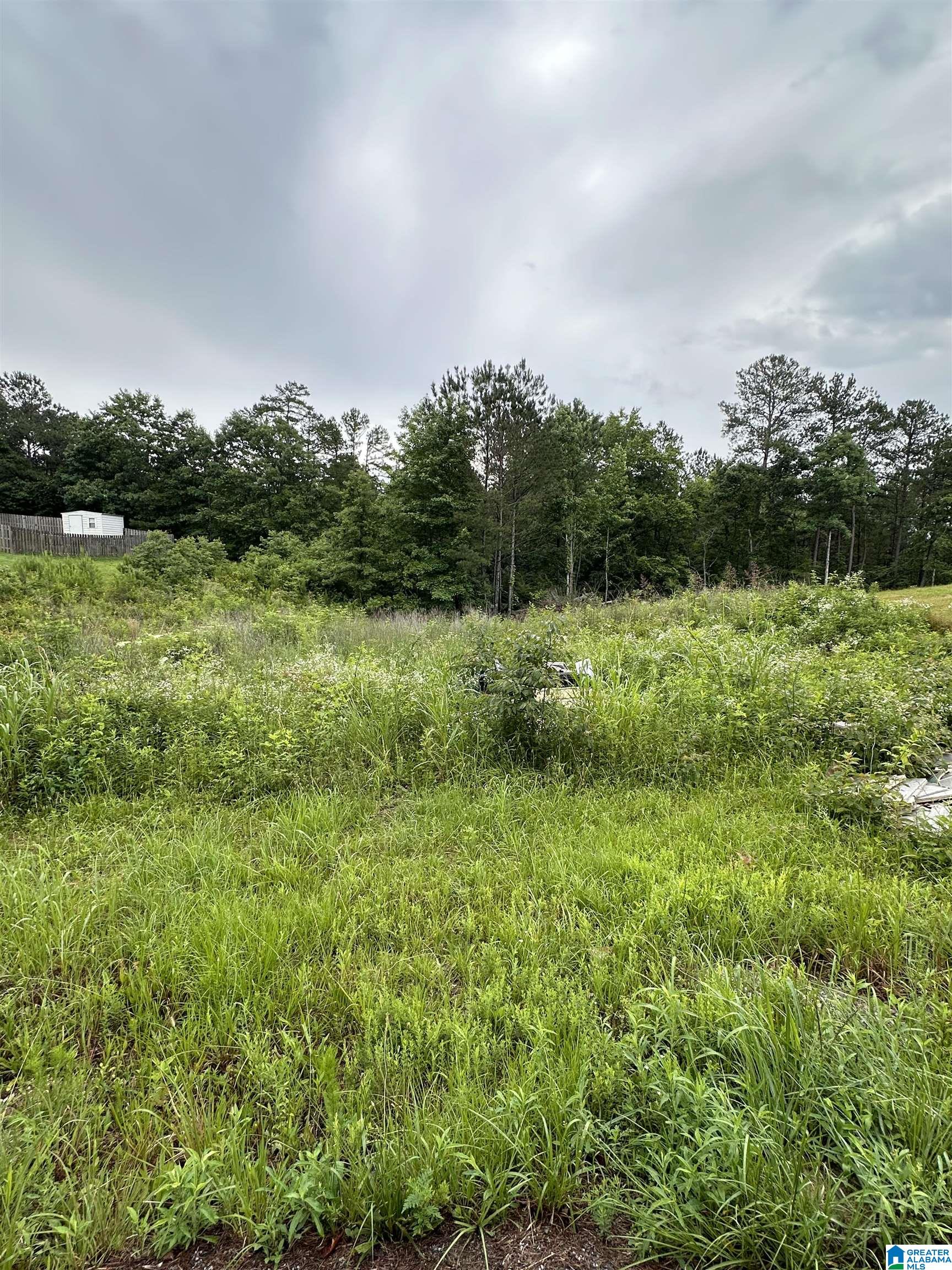 Homes for sale in Odenville, AL | 230 Virginia Way, Odenville, AL 35004 | MLS# 21393169