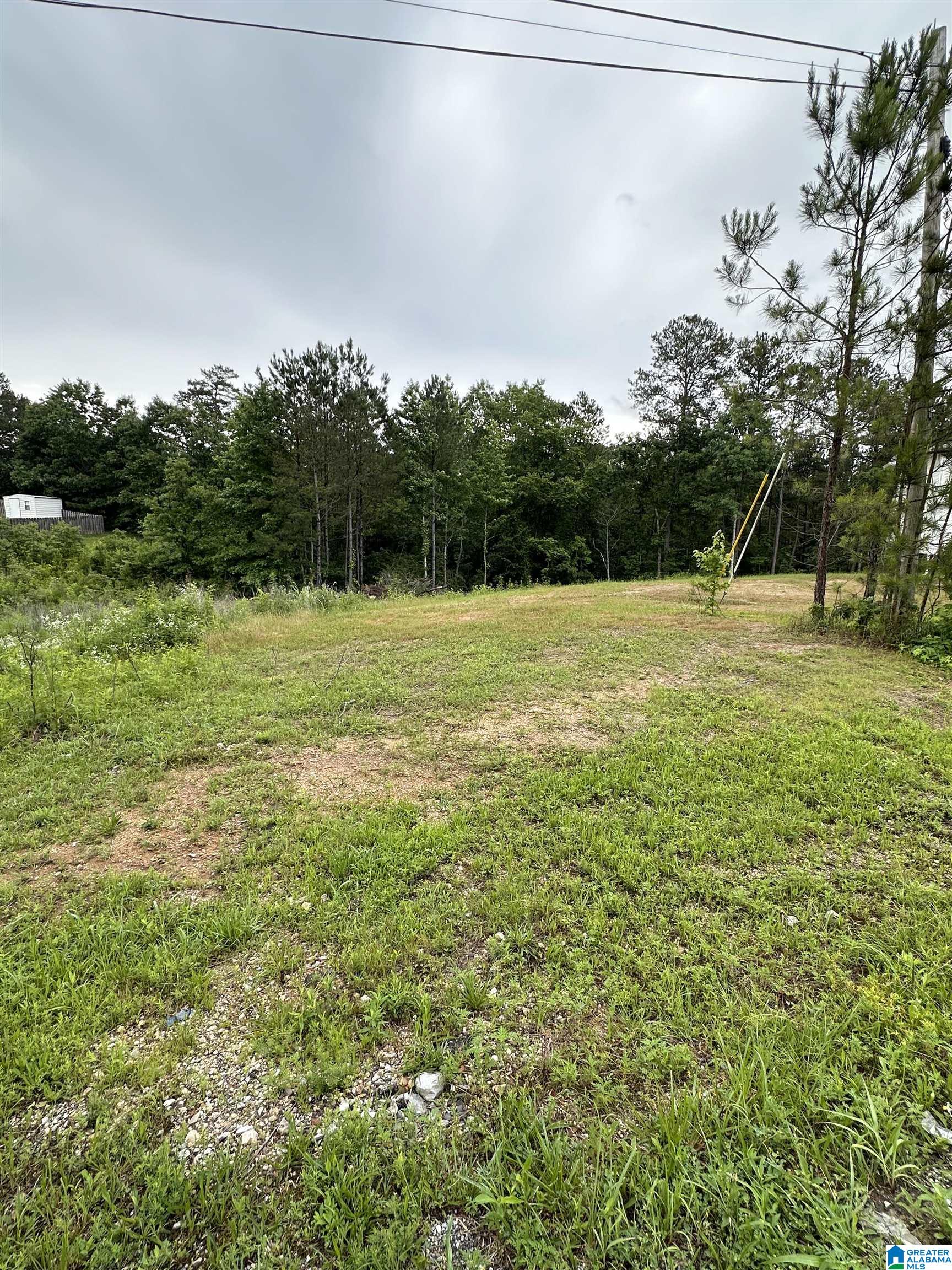 Homes for sale in Odenville, AL | 220 Virginia Way, Odenville, AL 35004 | MLS# 21393170