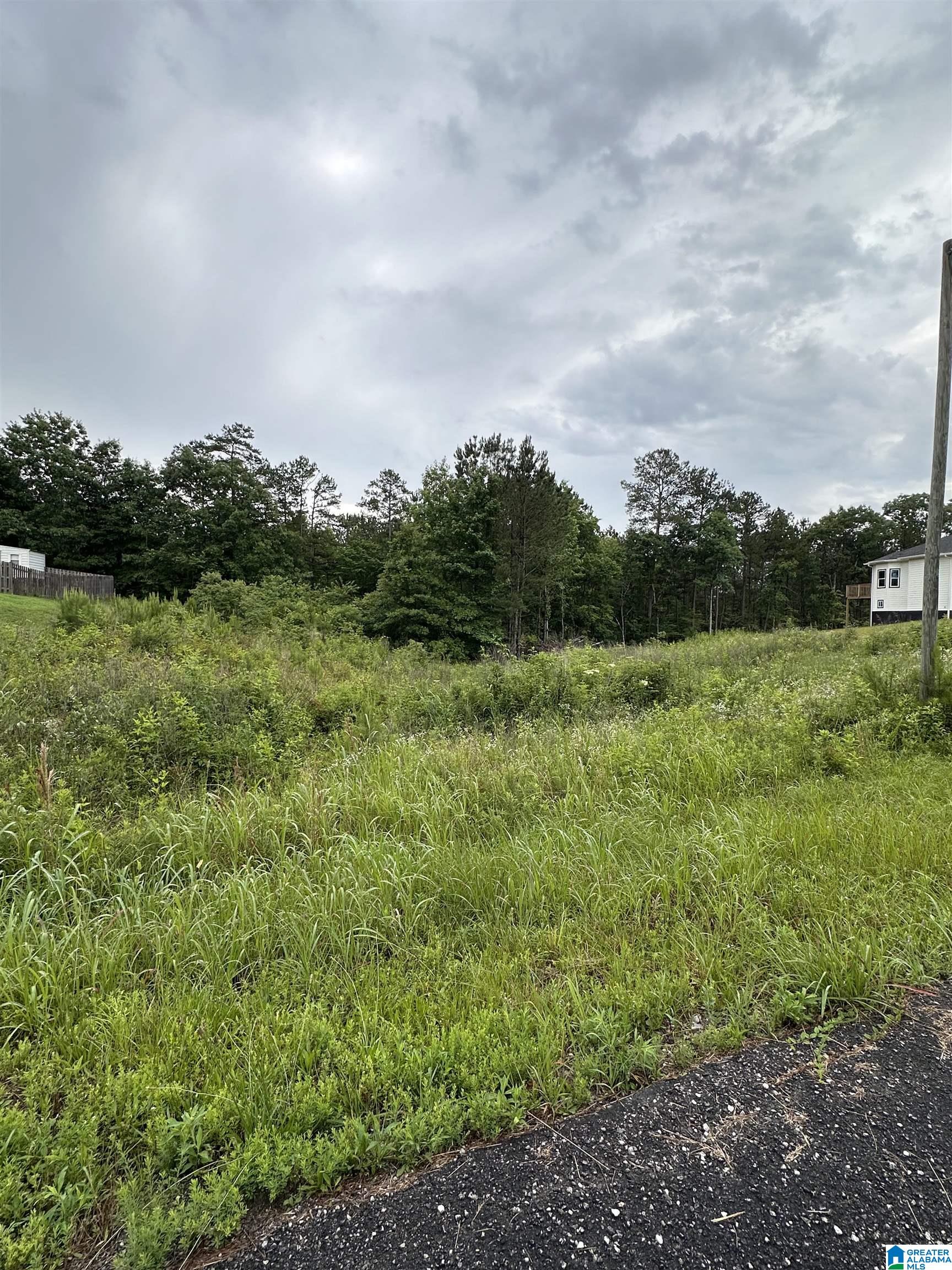 Homes for sale in Odenville, AL | 220 Virginia Way, Odenville, AL 35004 | MLS# 21393170