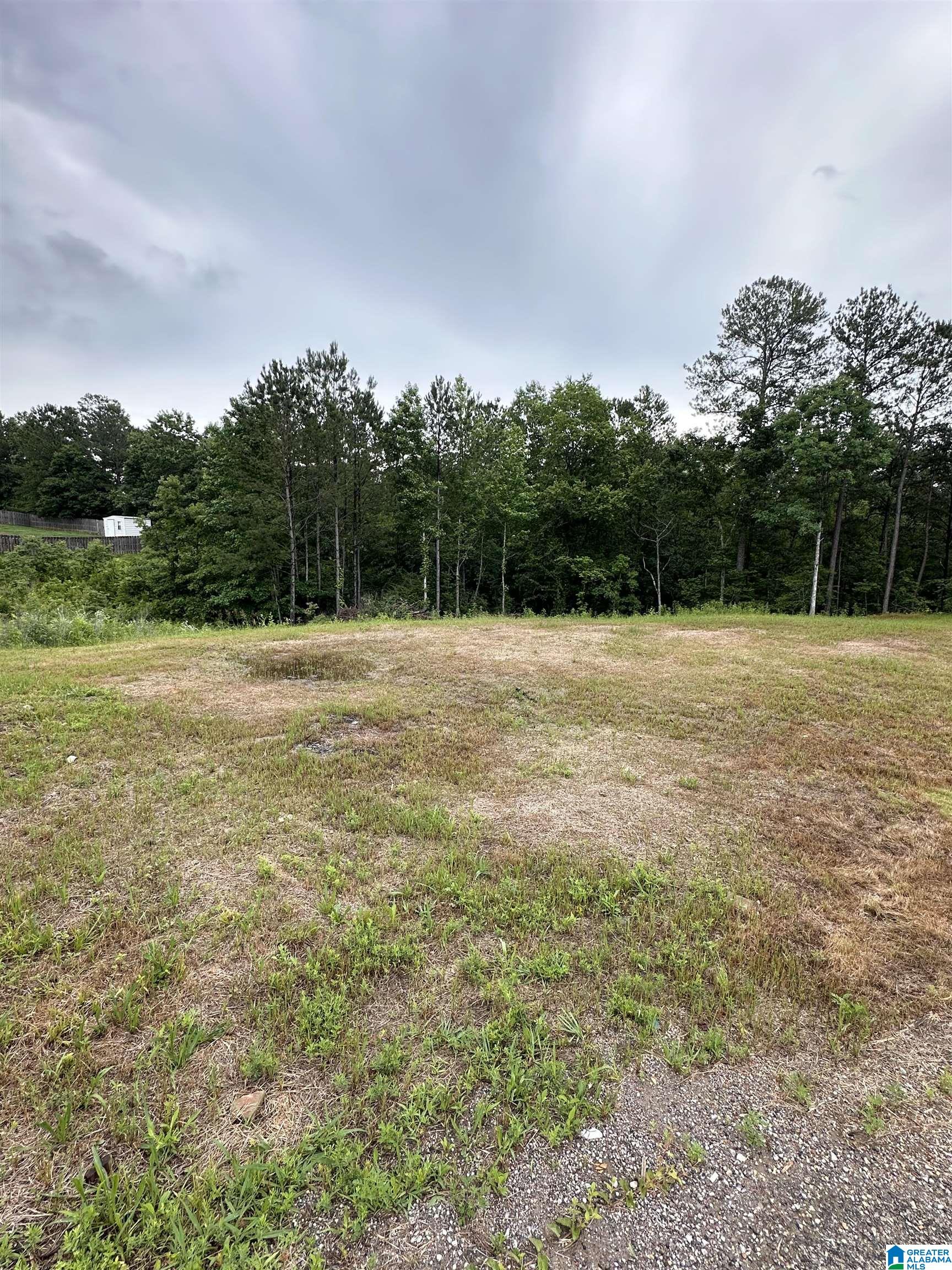 Homes for sale in Odenville, AL | 220 Virginia Way, Odenville, AL 35004 | MLS# 21393170