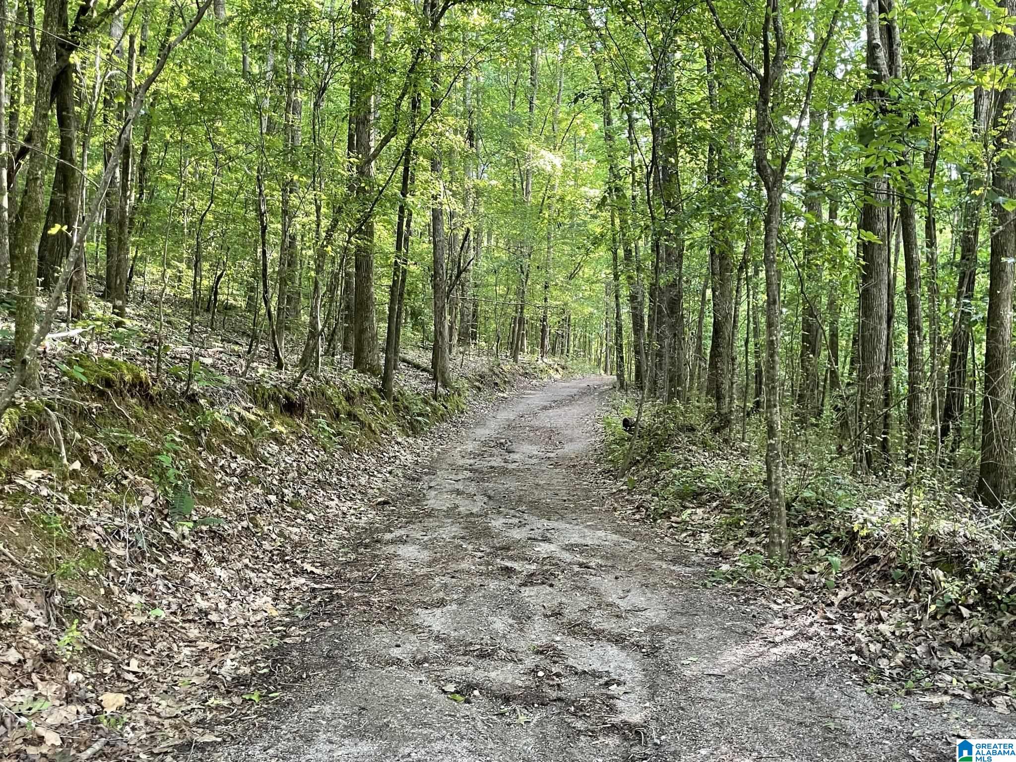 Homes for sale in Pinson, AL | 6377 Cambridge Road, Pinson, AL 35126 | MLS# 21393750