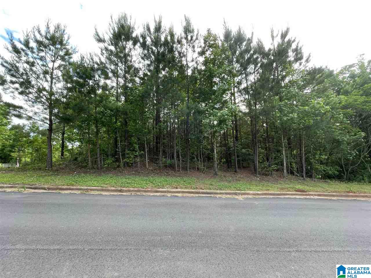 Homes for sale in Pinson, AL | 6434 Cambridge Road, Pinson, AL 35126 | MLS# 21393752