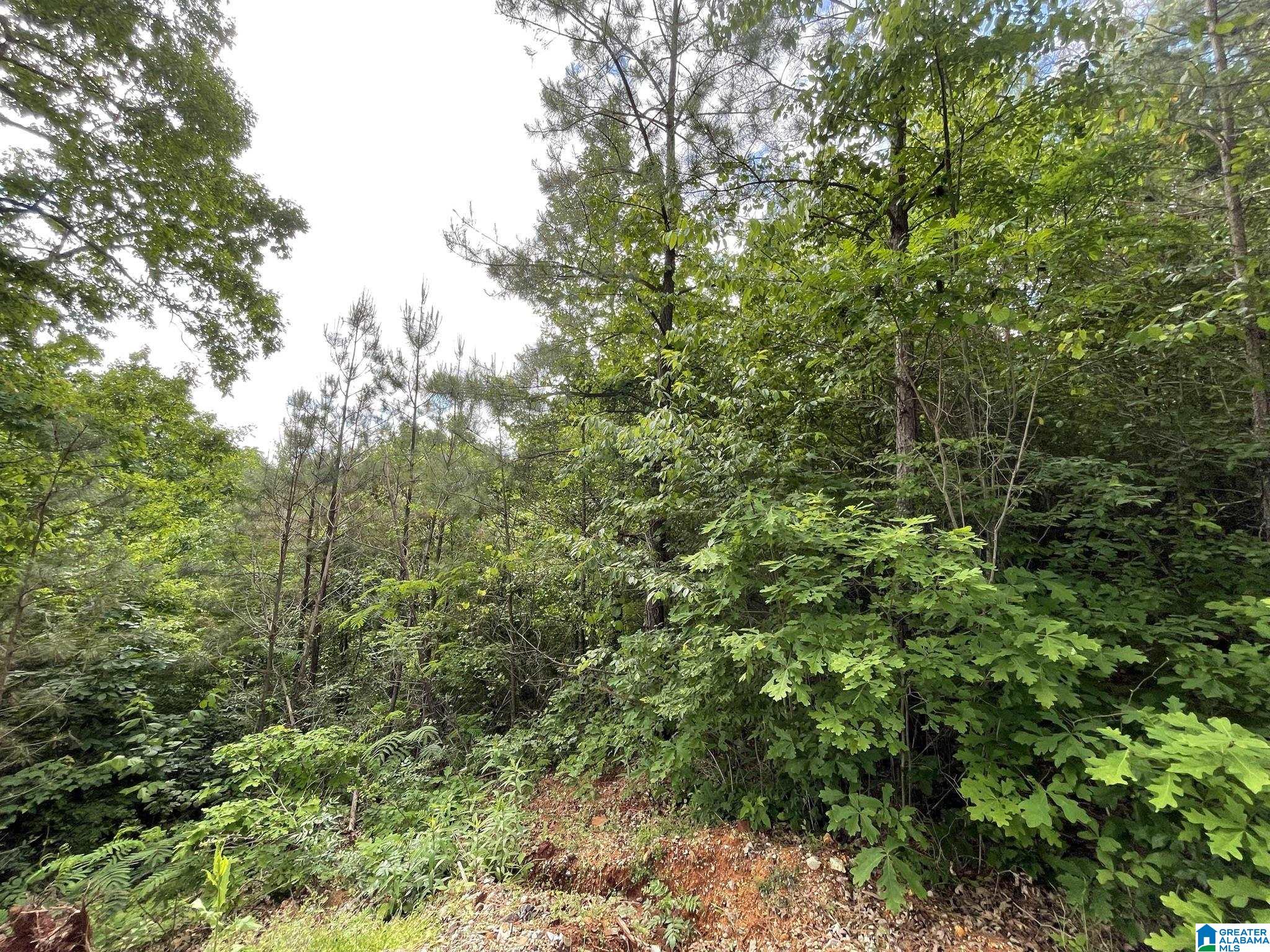 Homes for sale in Pinson, AL | 6434 Cambridge Road, Pinson, AL 35126 | MLS# 21393752