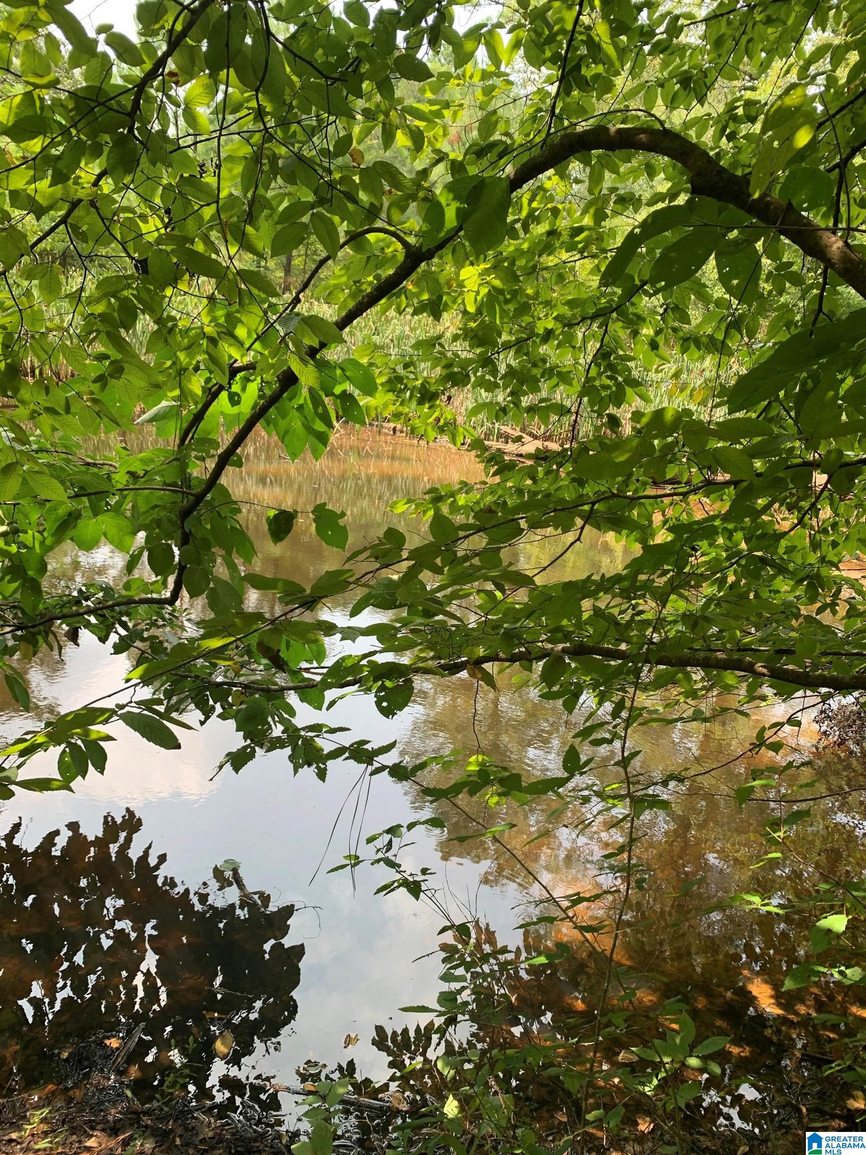 Homes for sale in Calera, AL | 348 Seale Road, Calera, AL 35040 | MLS# 21393979