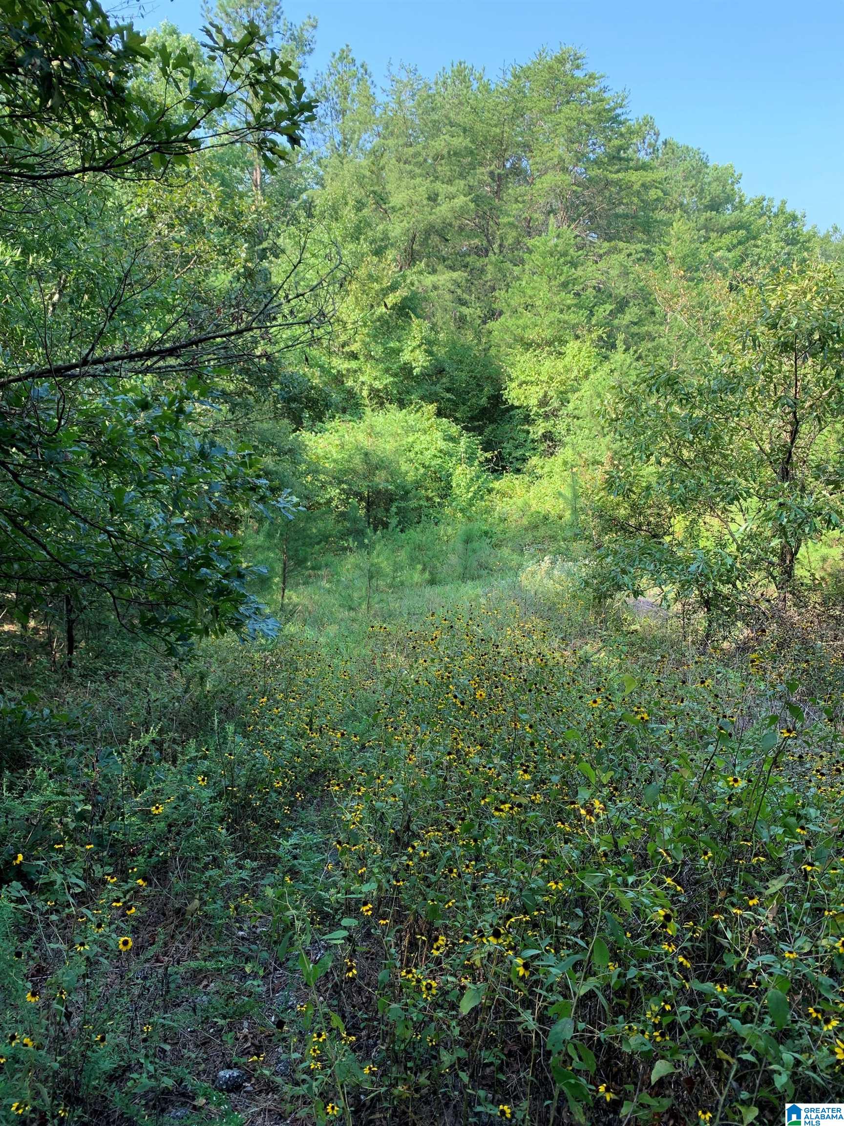 Homes for sale in Calera, AL | 348 Seale Road, Calera, AL 35040 | MLS# 21393979