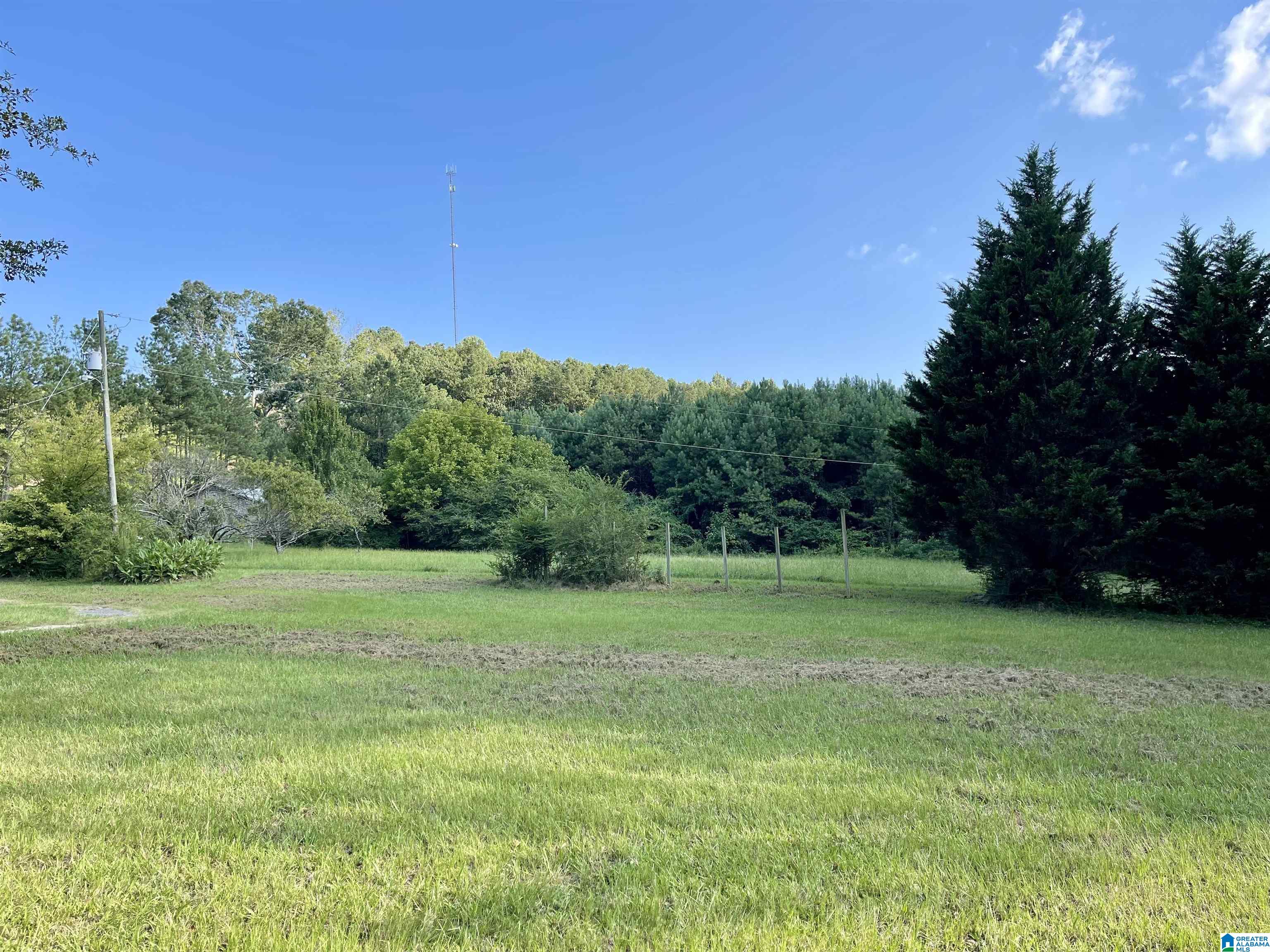 Homes for sale in Ashville, AL | 30000 Us Hwy 231, Ashville, AL 35953 | MLS# 21394217