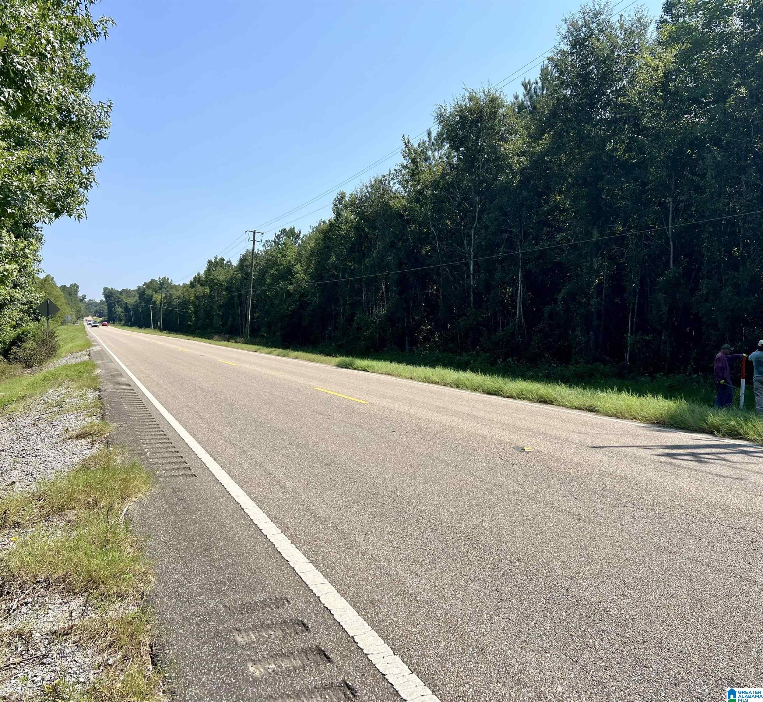 Homes for sale in Stanton, AL | 4440 Hwy 22, Stanton, AL 36790 | MLS# 21394262