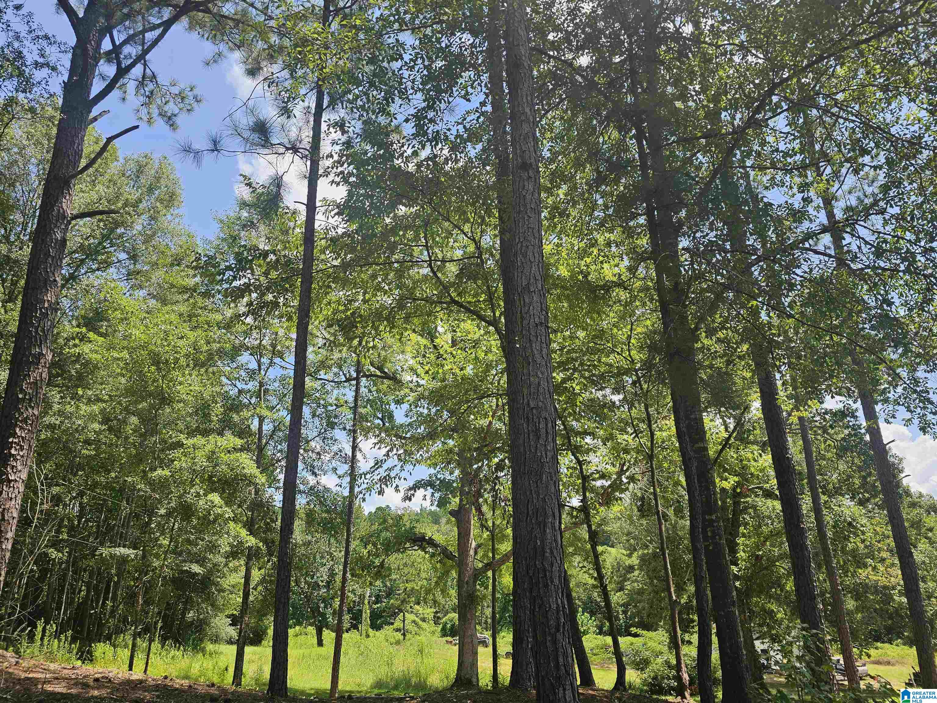 Homes for sale in Duncanville, AL | 15806 Hwy 82, Duncanville, AL 35456 | MLS# 21394266