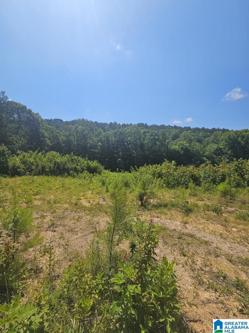0 COUNTY ROAD 12