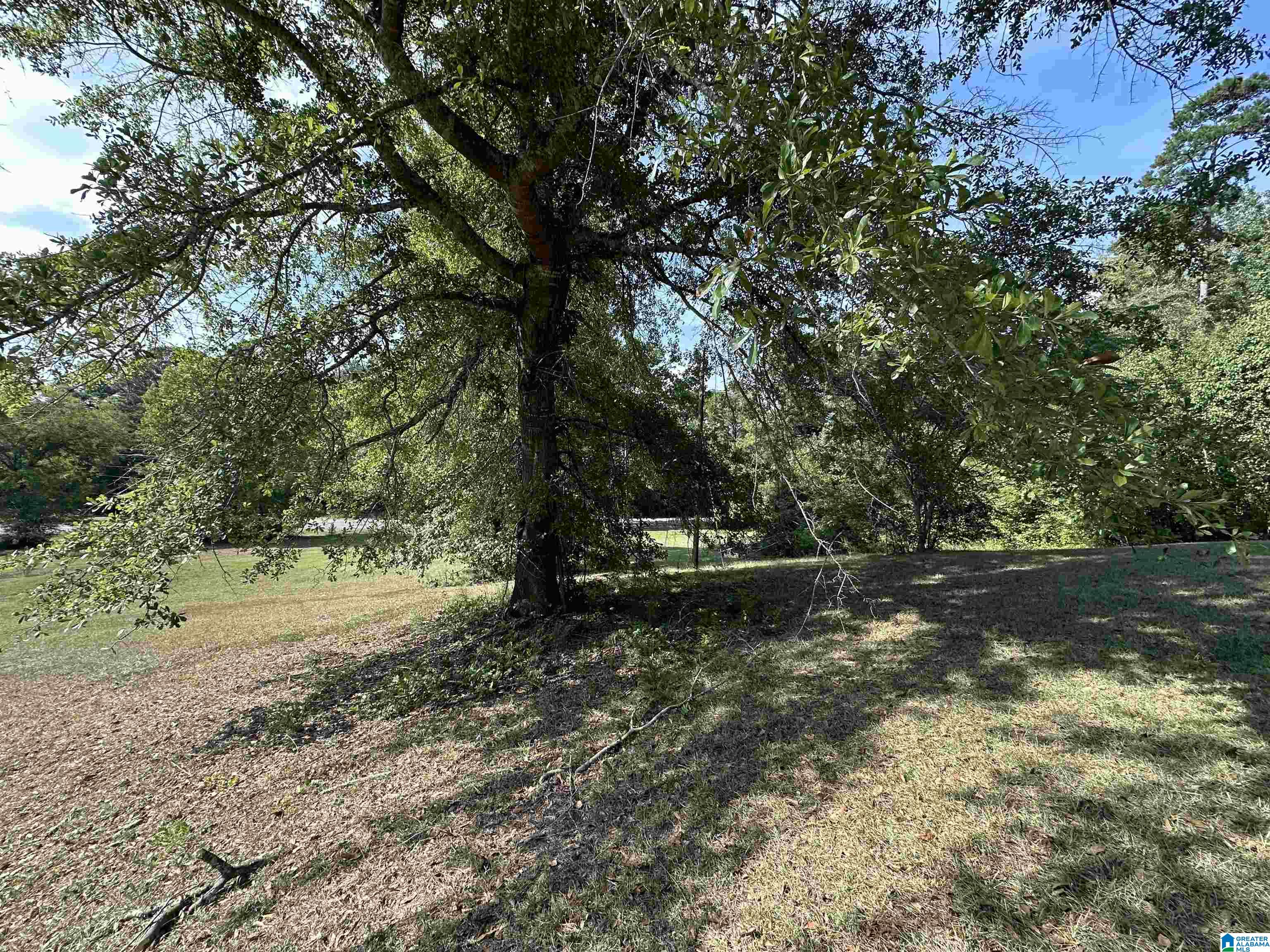 Homes for sale in Moody, AL | 1533 Park Avenue, Moody, AL 35004 | MLS# 21396368