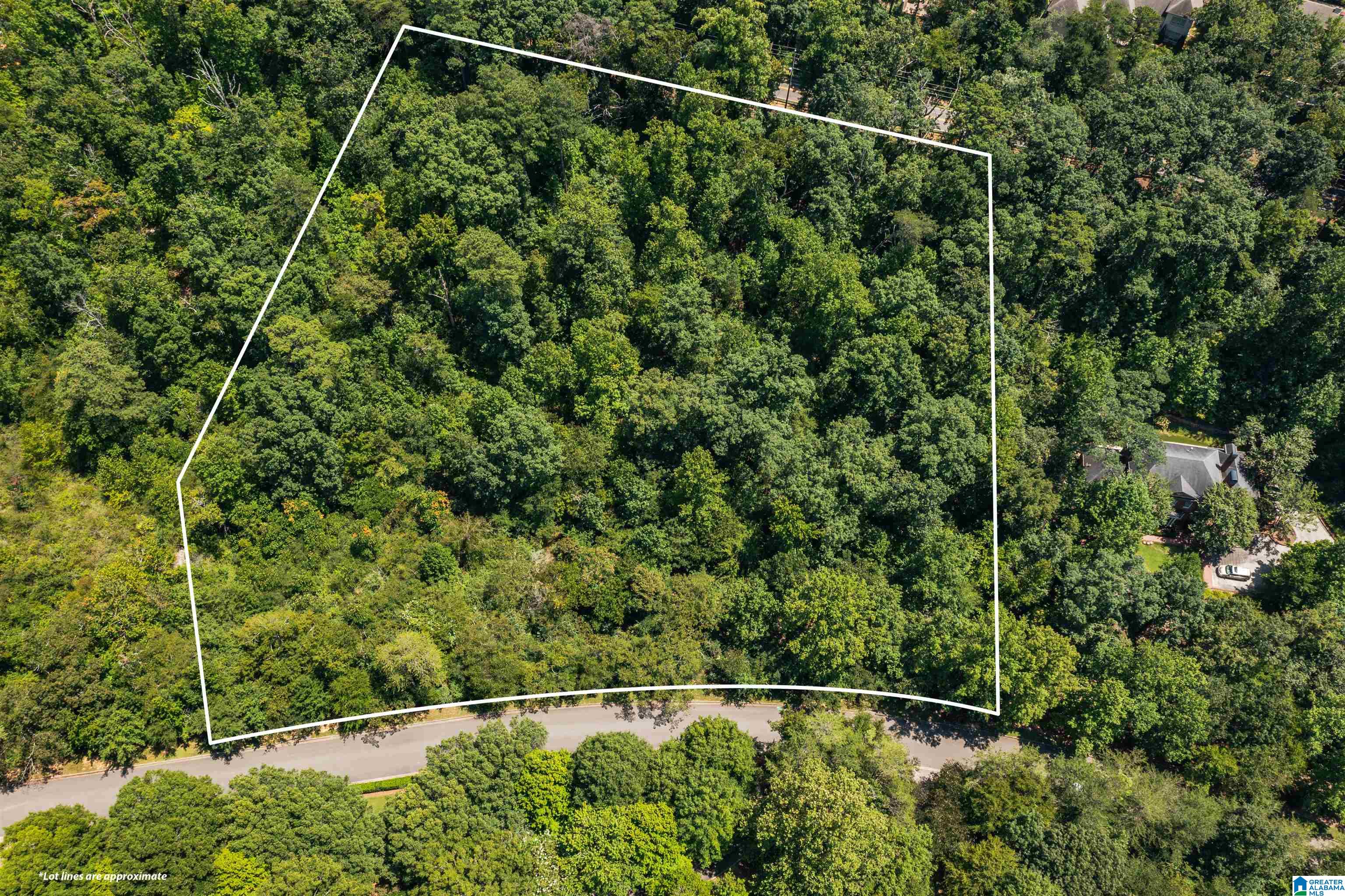 Homes for sale in Mountain Brook, AL | 2804 Shook Hill Circle, Mountain Brook, AL 35223 | MLS# 21396704