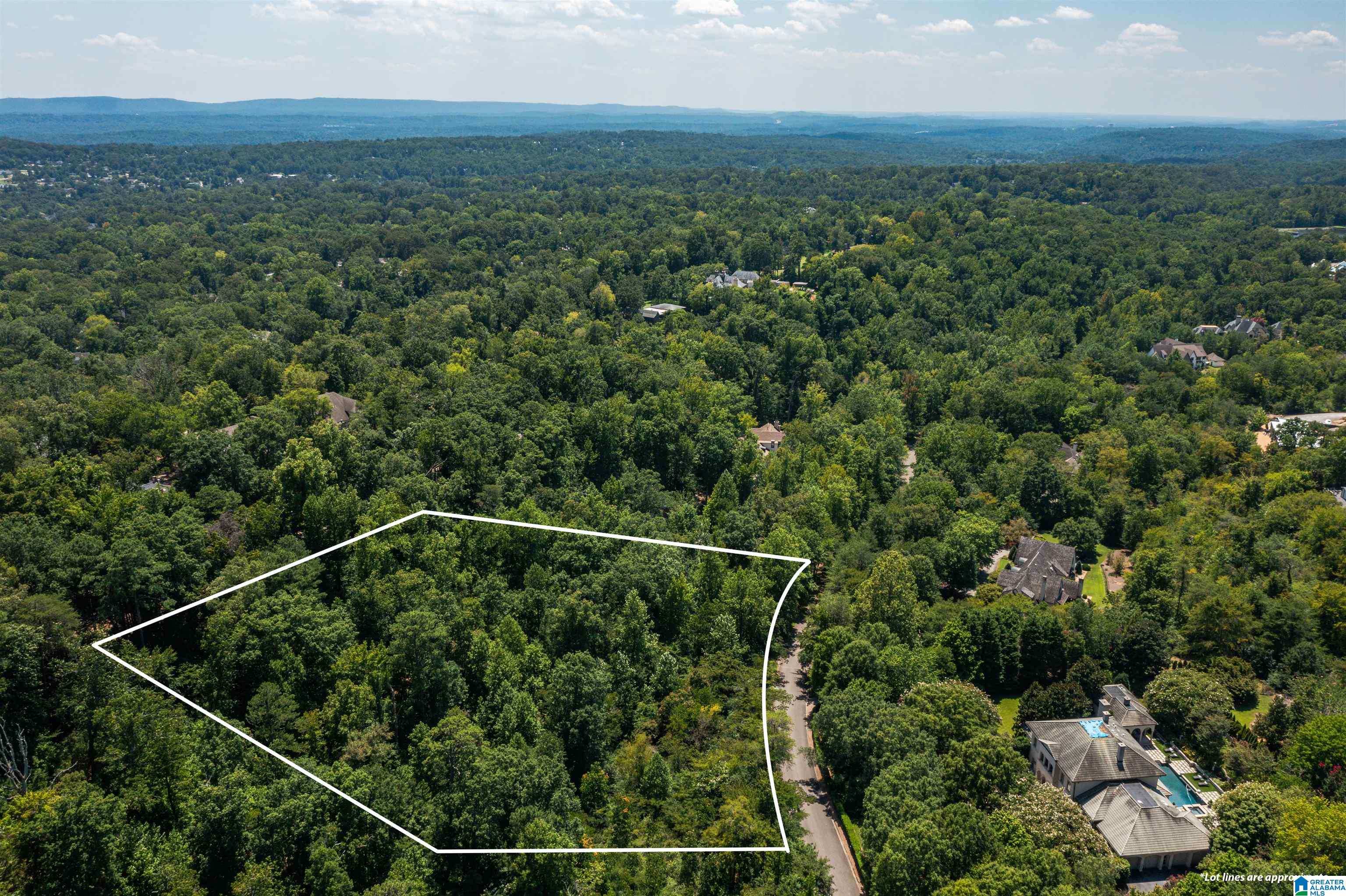 Homes for sale in Mountain Brook, AL | 2804 Shook Hill Circle, Mountain Brook, AL 35223 | MLS# 21396704