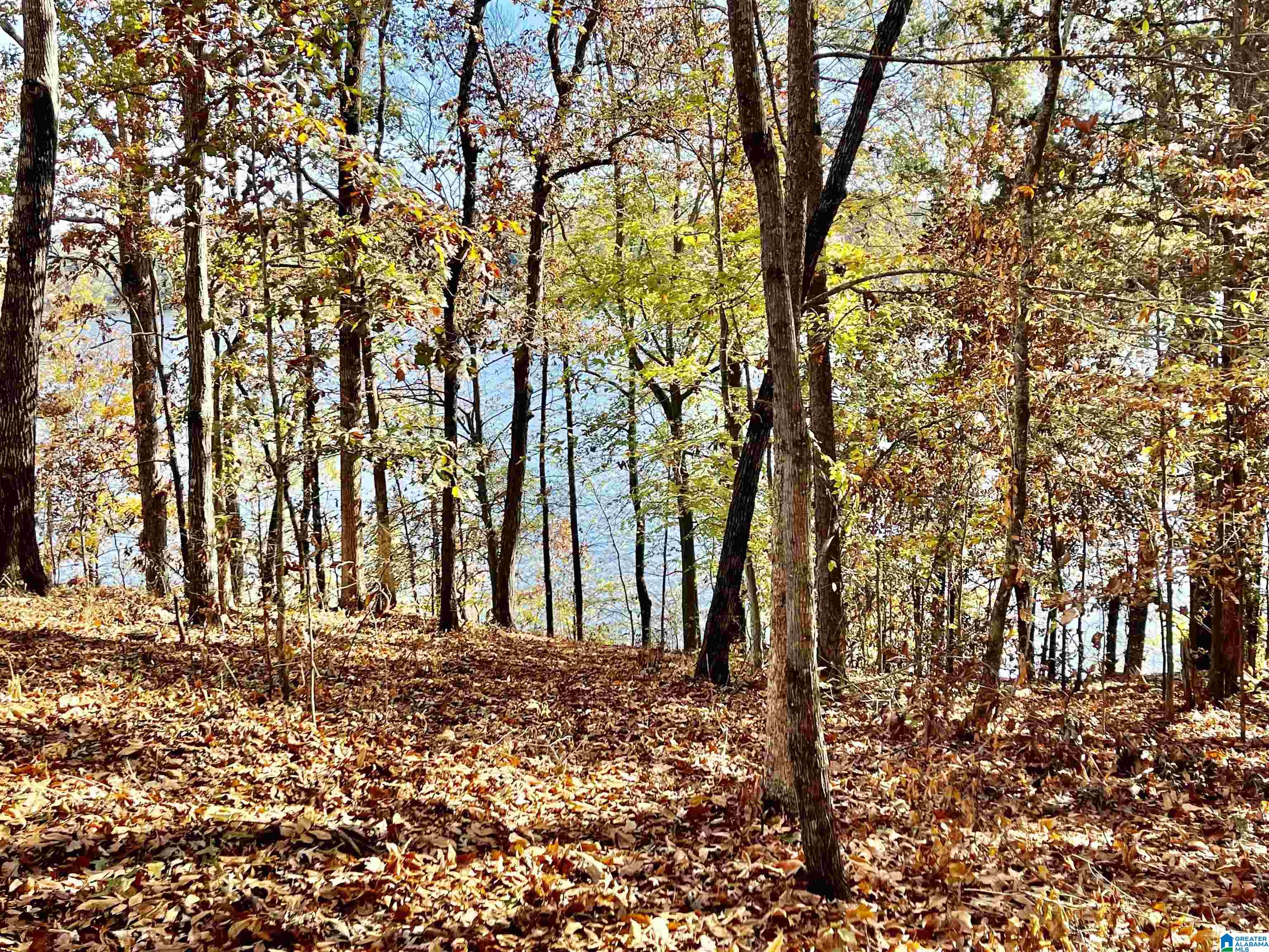 Homes for sale in Pell City, AL | 0 Ranch Marina Road, Pell City, AL 35128 | MLS# 21396757