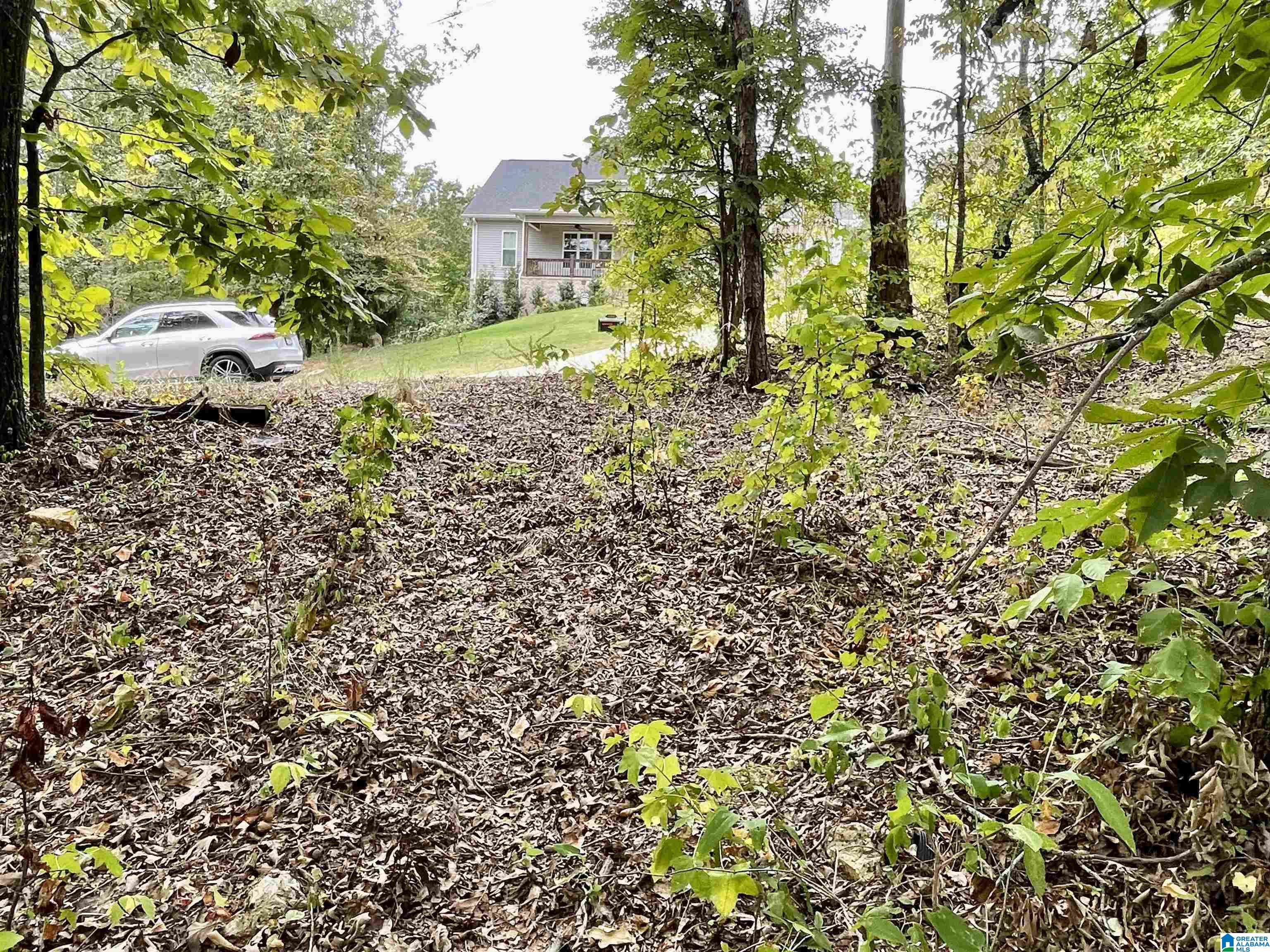 Homes for sale in Pell City, AL | 0 Ranch Marina Road, Pell City, AL 35128 | MLS# 21396757