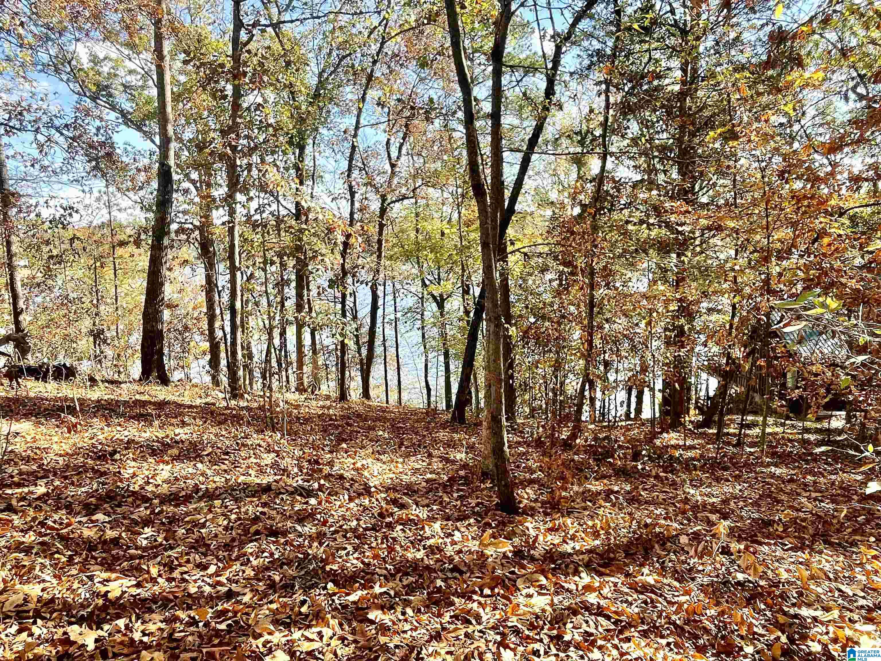 Homes for sale in Pell City, AL | 0 Ranch Marina Road, Pell City, AL 35128 | MLS# 21396757