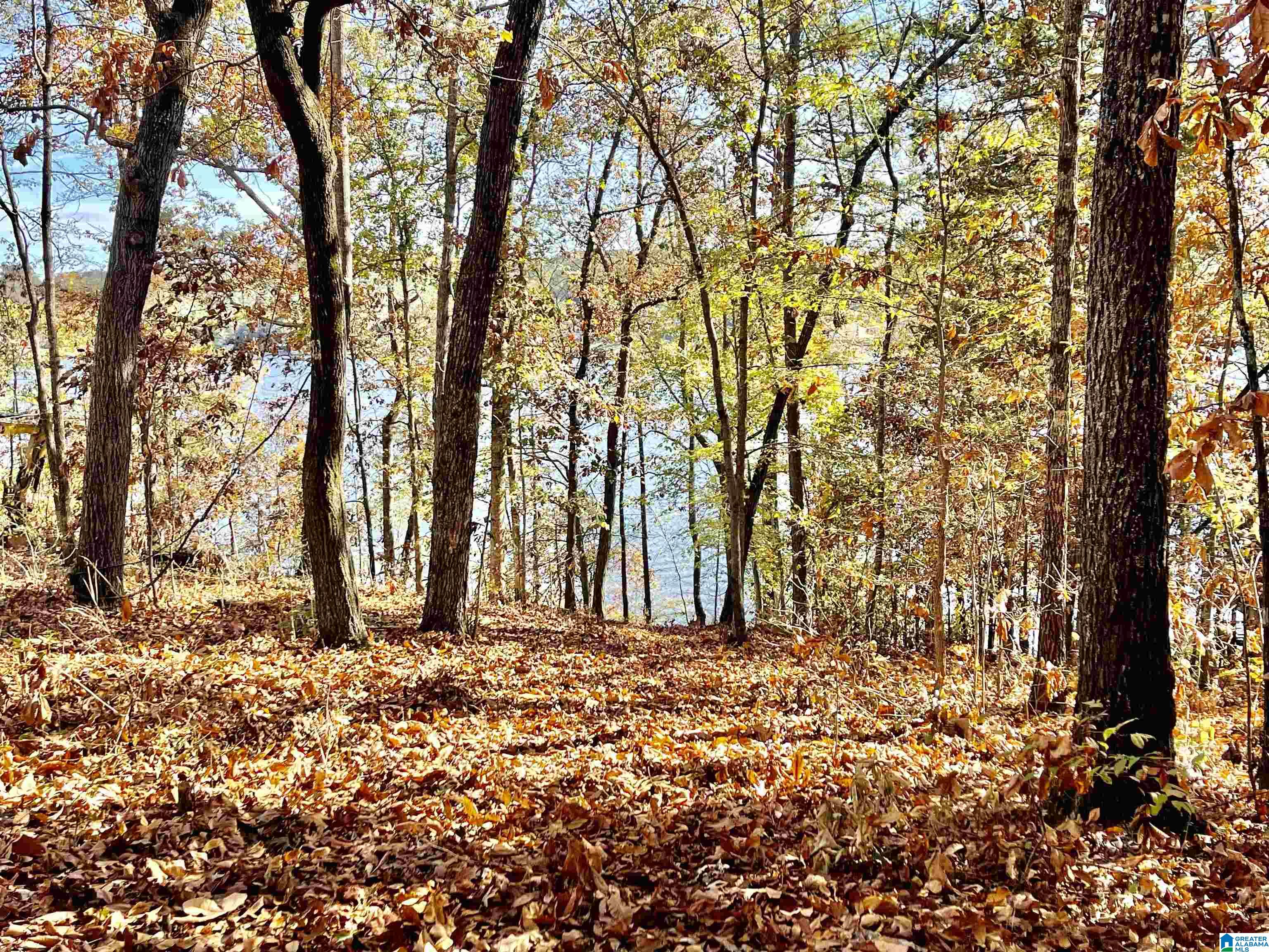 Homes for sale in Pell City, AL | 0 Ranch Marina Road, Pell City, AL 35128 | MLS# 21396757