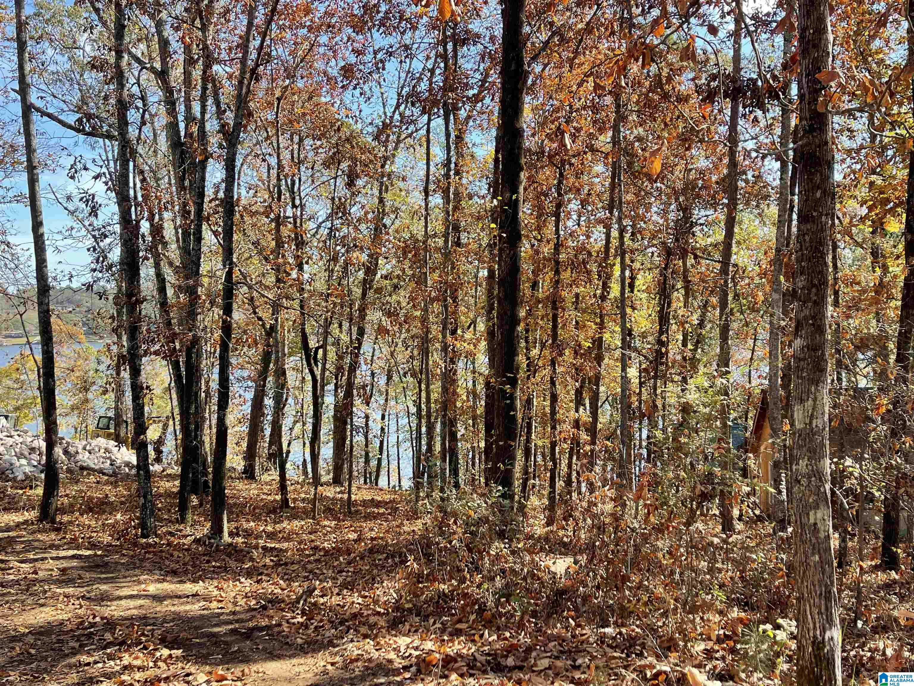 Homes for sale in Pell City, AL | 0 Ranch Marina Road, Pell City, AL 35128 | MLS# 21396757