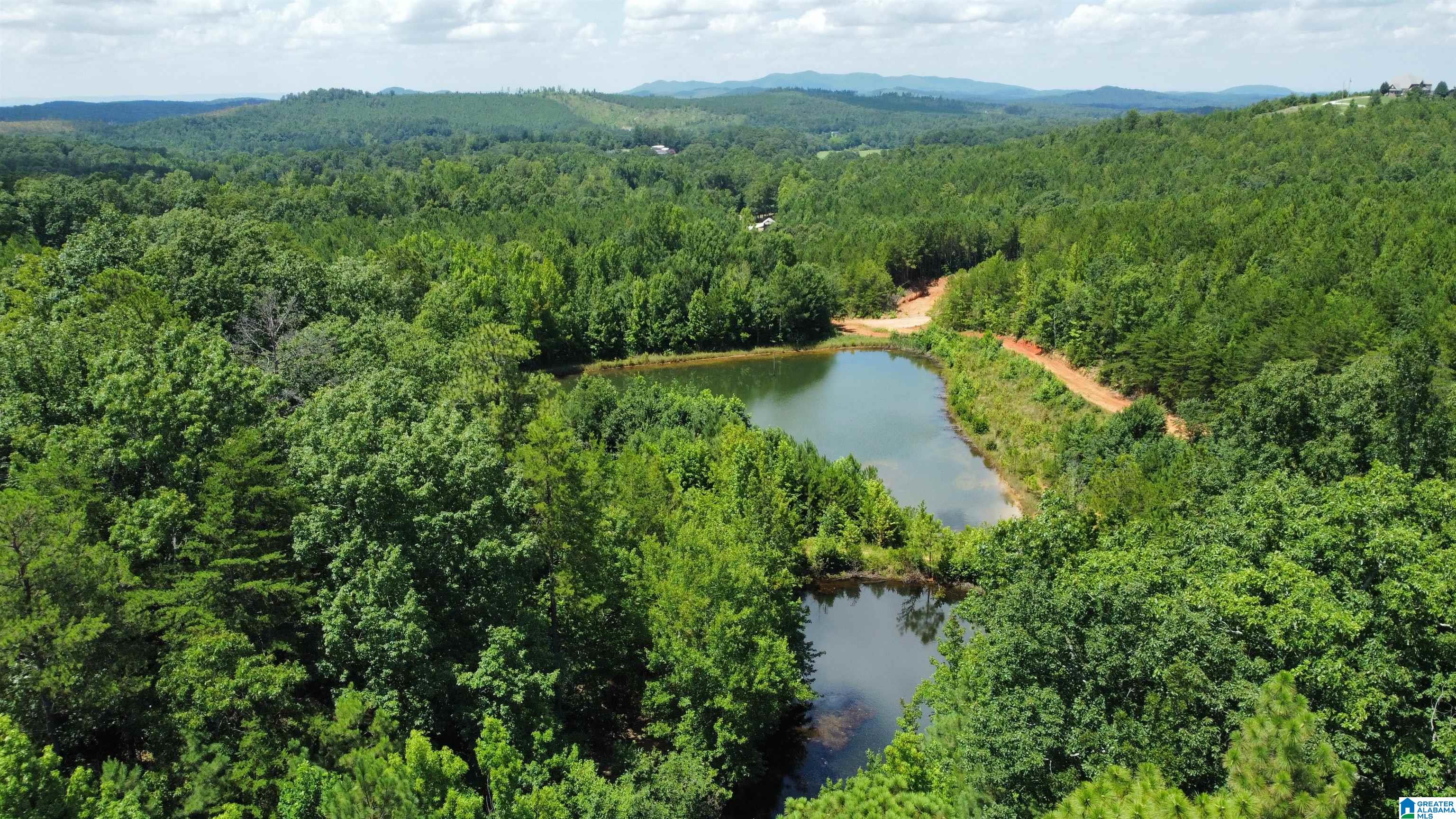 11.54 Acres TUCK-A-WAY DRIVE