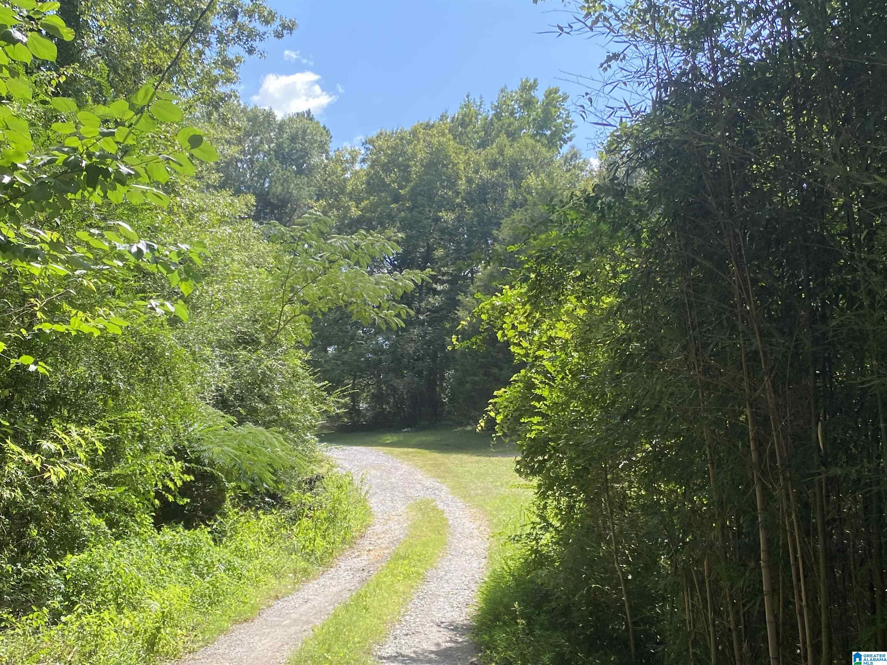 Homes for sale in Leeds, AL | 105 Wildwood Trail, Leeds, AL 35004 | MLS# 21396819