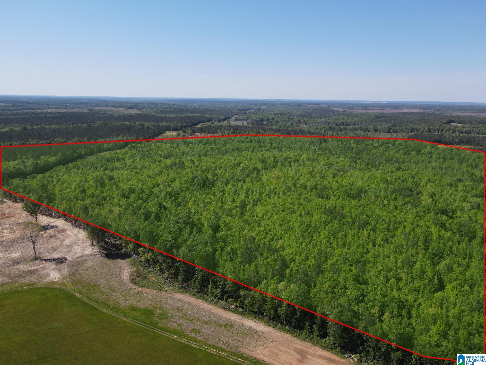 160 Acres COUNTY ROAD 73