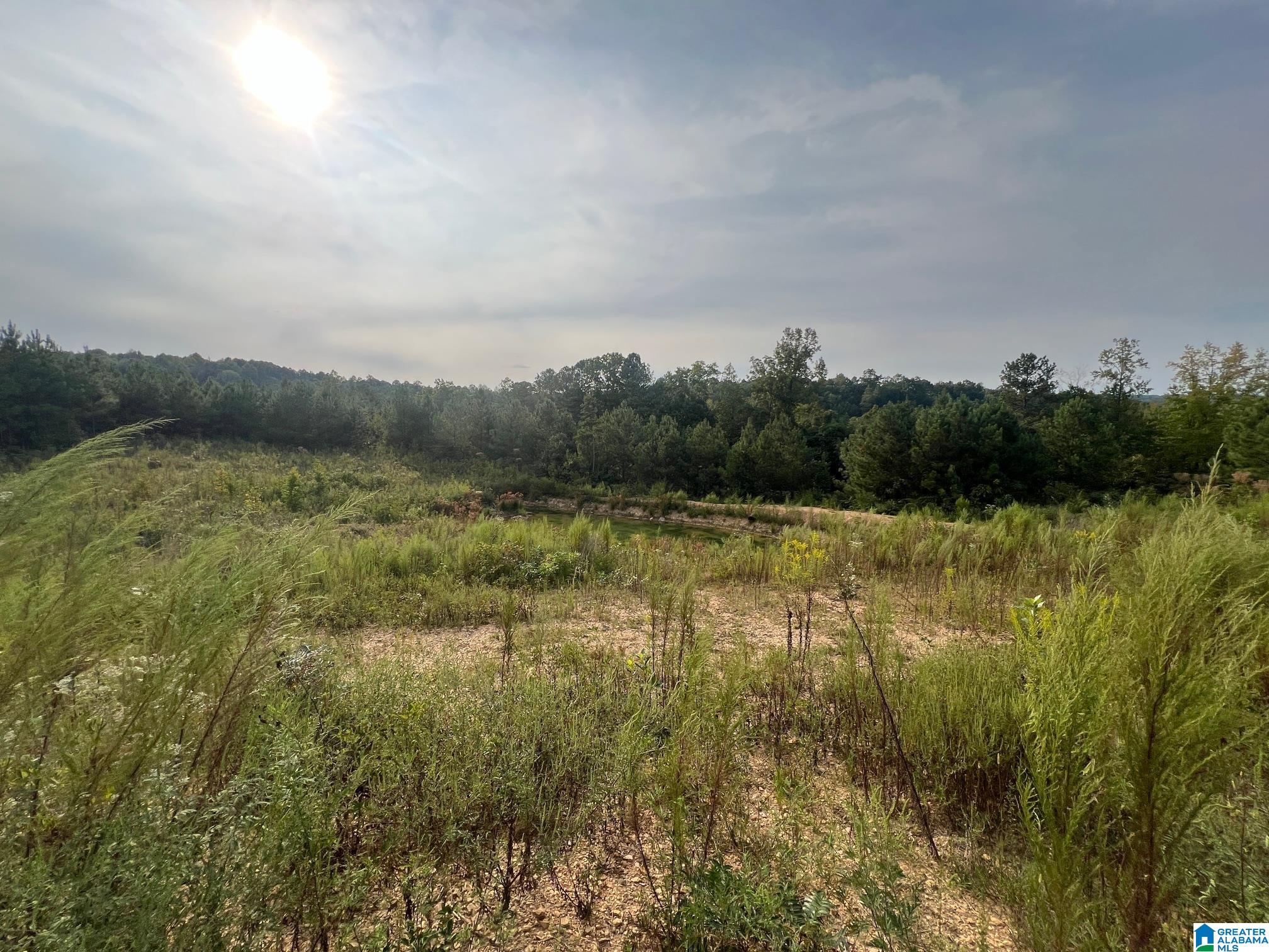 3437 JACKSON TRAIL