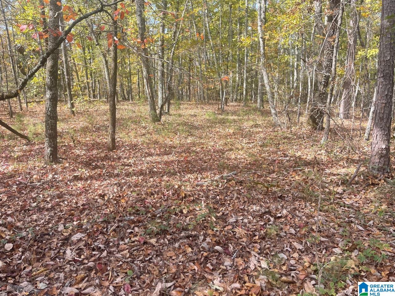36 acres COUNTY ROAD 30
