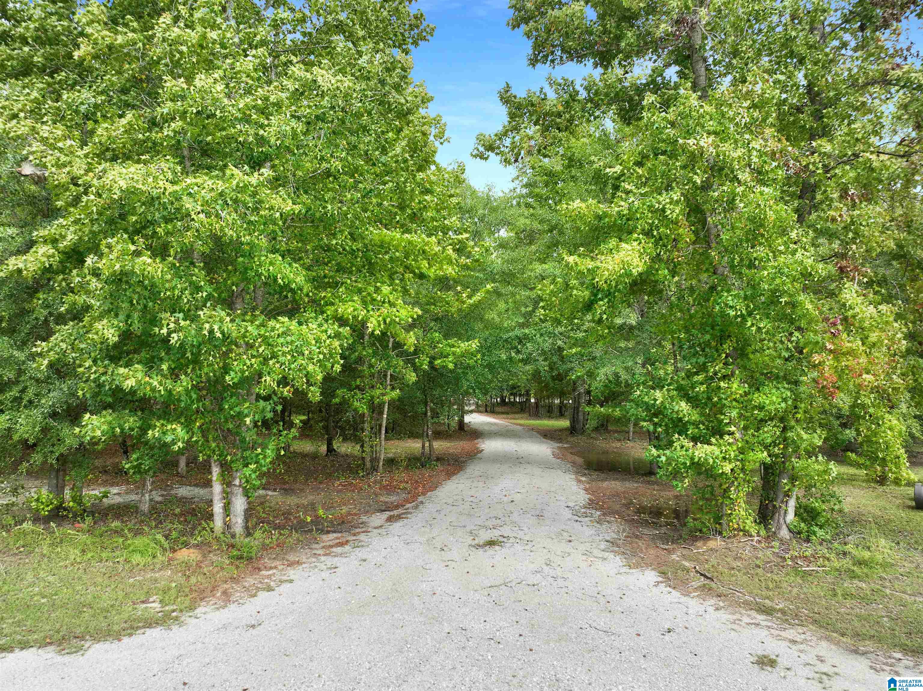 Homes for sale in Maplesville, AL | 13607 Hwy 191, Maplesville, AL 36750 | MLS# 21397452