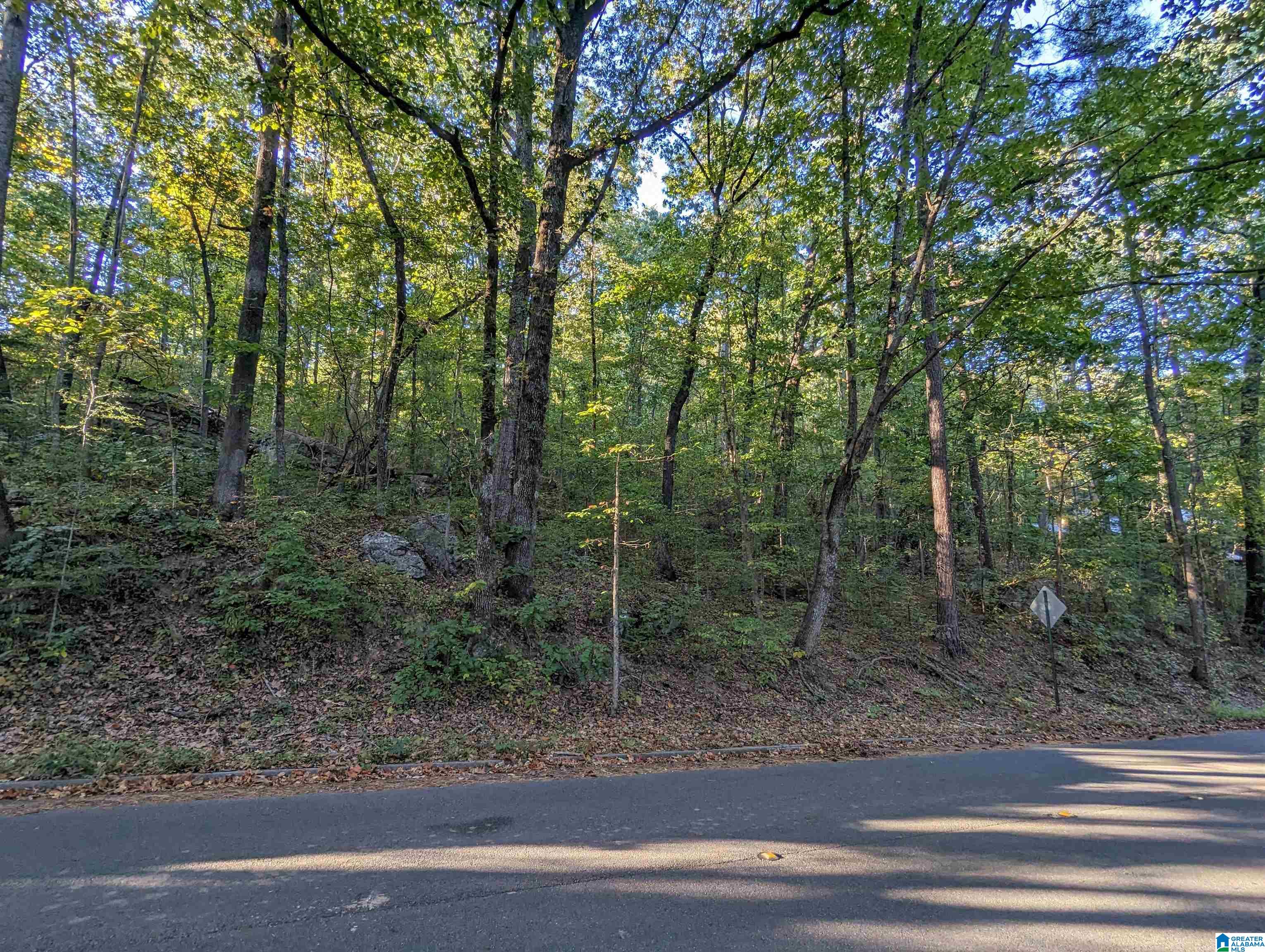 Homes for sale in Hoover, AL | 3245 Verdure Dr, Hoover, AL 35226 | MLS# 21397471