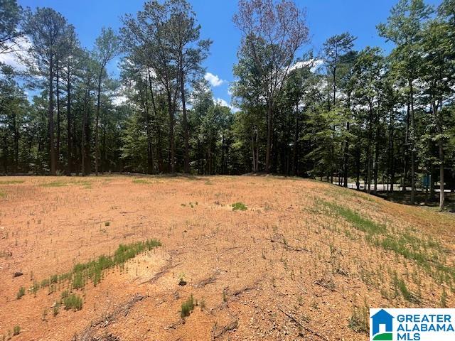 Homes for sale in Chelsea, AL | 25 Hodgens Road, Chelsea, AL 35043 | MLS# 21397493