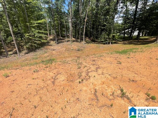 Homes for sale in Chelsea, AL | 25 Hodgens Road, Chelsea, AL 35043 | MLS# 21397493