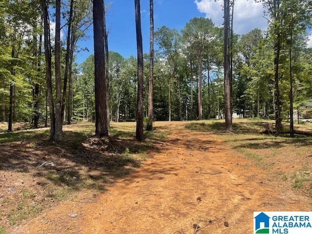 Homes for sale in Chelsea, AL | 63 Hodgens Road, Chelsea, AL 35043 | MLS# 21397494