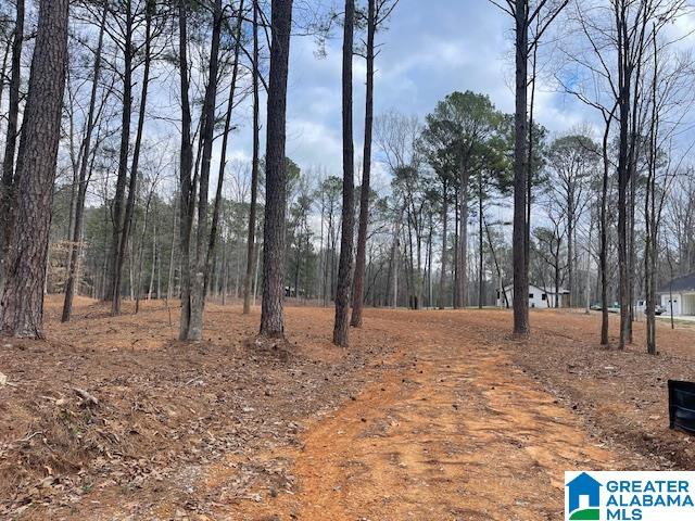 Homes for sale in Chelsea, AL | 63 Hodgens Road, Chelsea, AL 35043 | MLS# 21397494