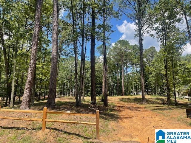 Homes for sale in Chelsea, AL | 63 Hodgens Road, Chelsea, AL 35043 | MLS# 21397494