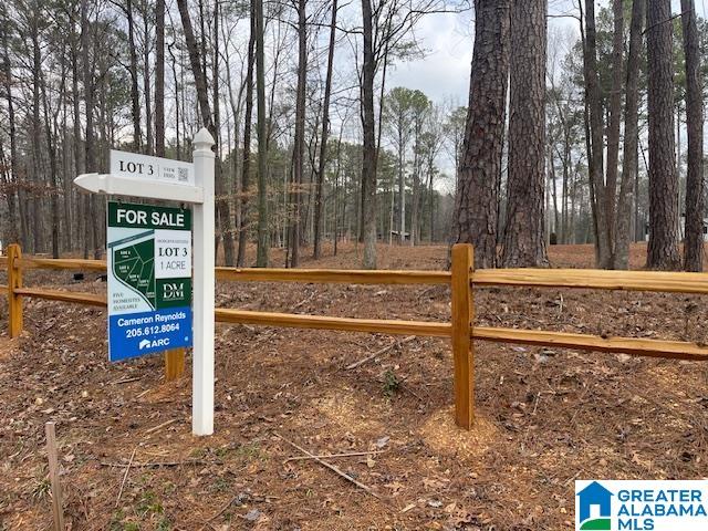 Homes for sale in Chelsea, AL | 63 Hodgens Road, Chelsea, AL 35043 | MLS# 21397494