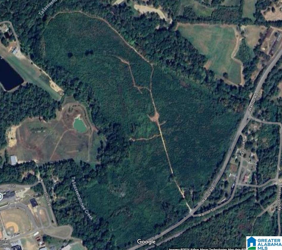 Homes for sale in Ohatchee, AL | 0 Warrior Road, Ohatchee, AL 36271 | MLS# 21397756