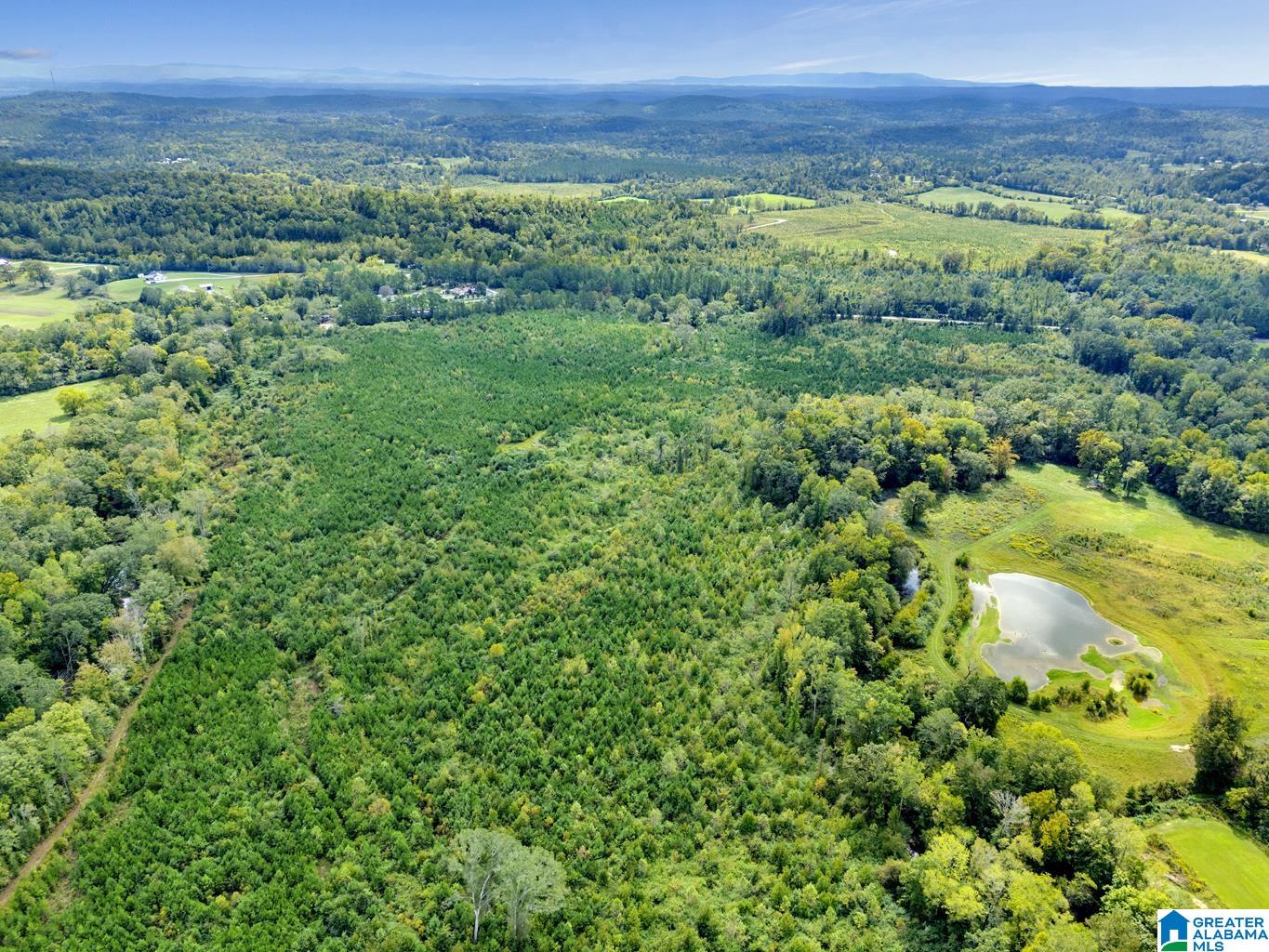 Homes for sale in Ohatchee, AL | 0 Warrior Road, Ohatchee, AL 36271 | MLS# 21397756